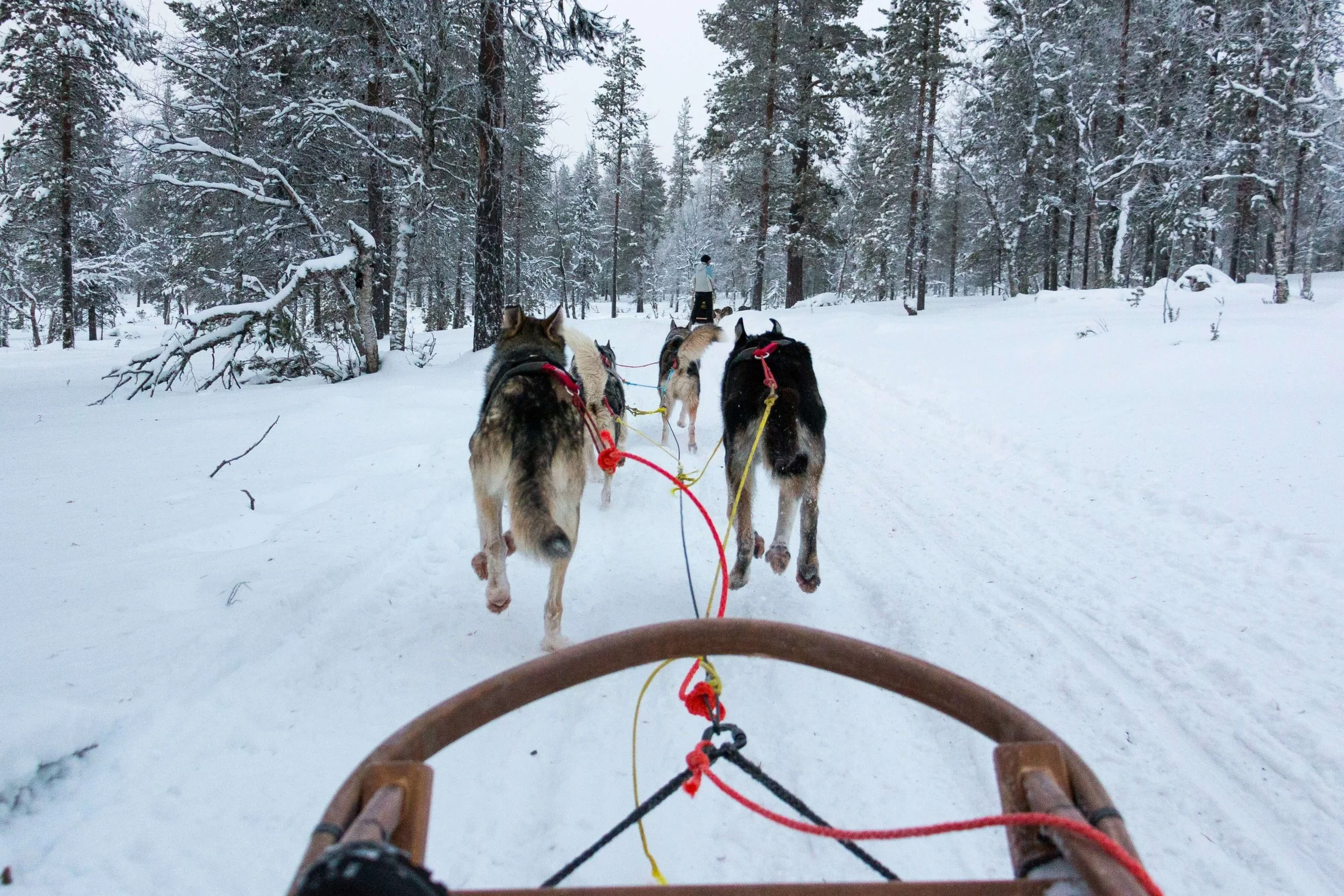 rasmus-gundorff-saederup-v1WgKHDi6dU-unsplash-1-scaled copy.png