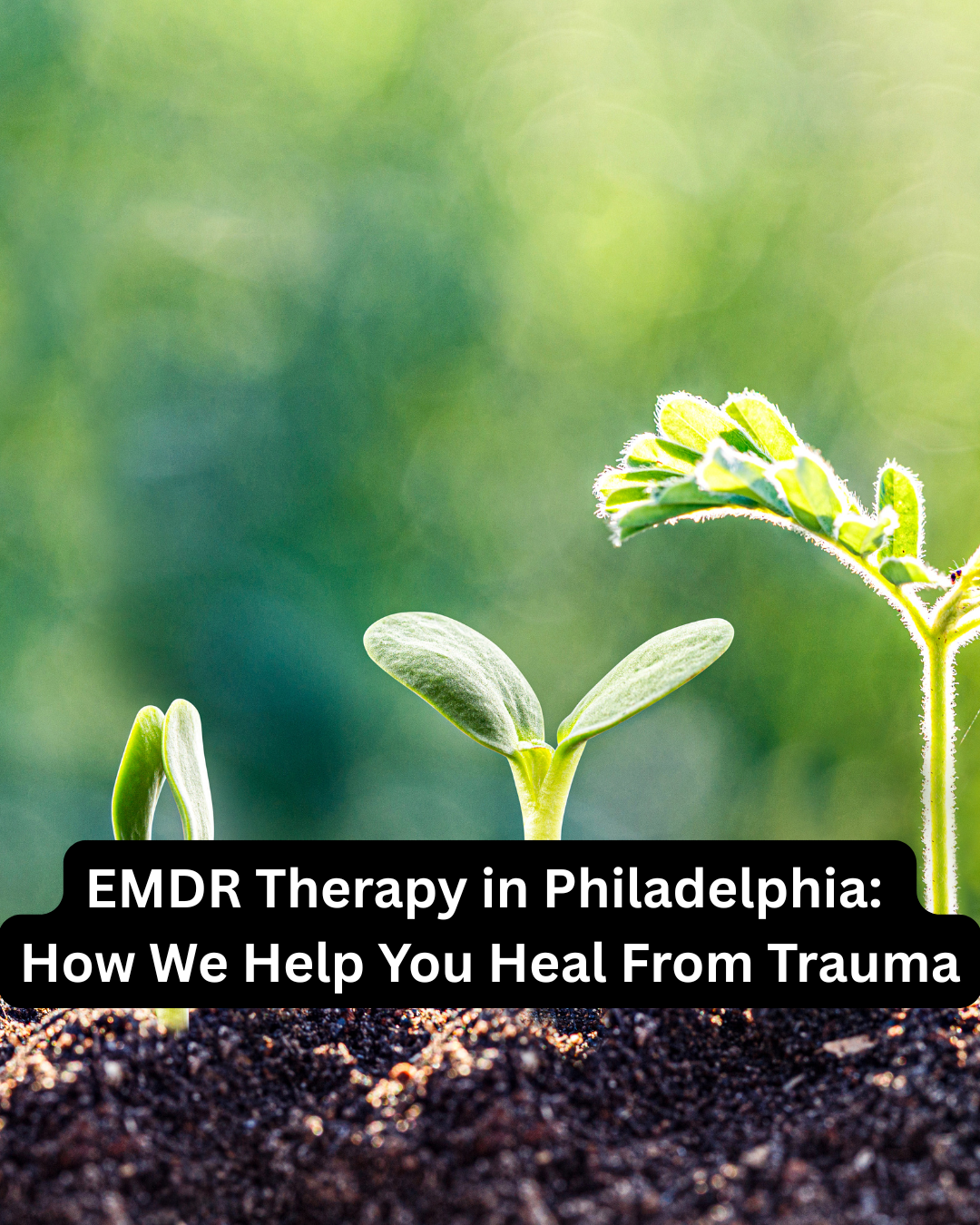 EMDR Therapy in Philadelphia: How We Help You Heal From Trauma