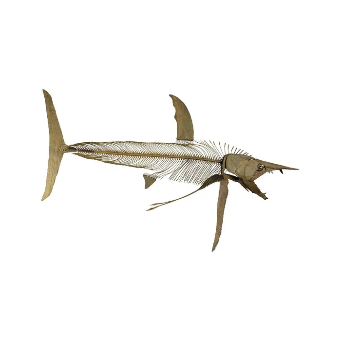 Protosp edit.jpg