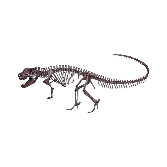 Postosuchus edit.jpg