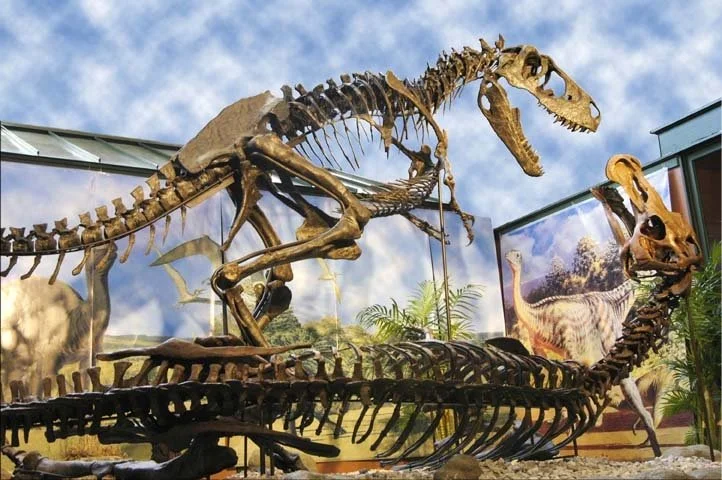 The Number One Problem our Customers Face