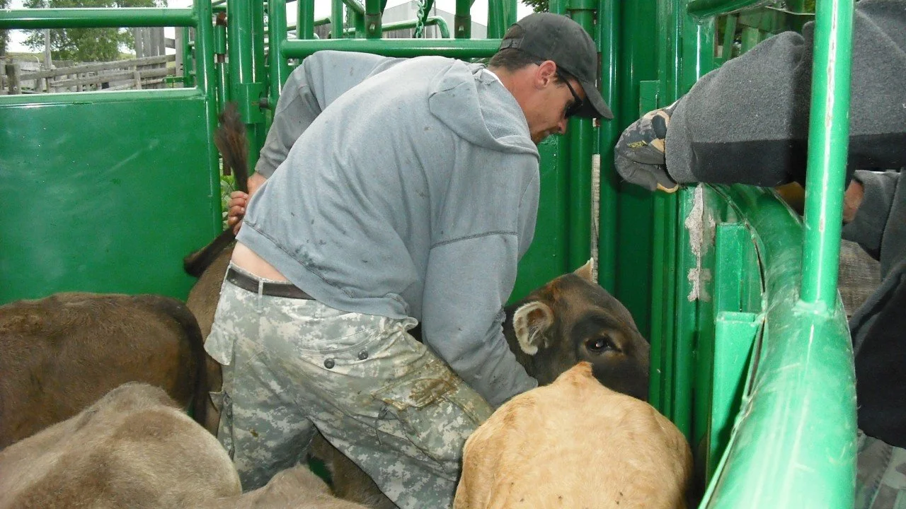 The Ground Beneath Our Work: Community and Responsibility in Paleontology