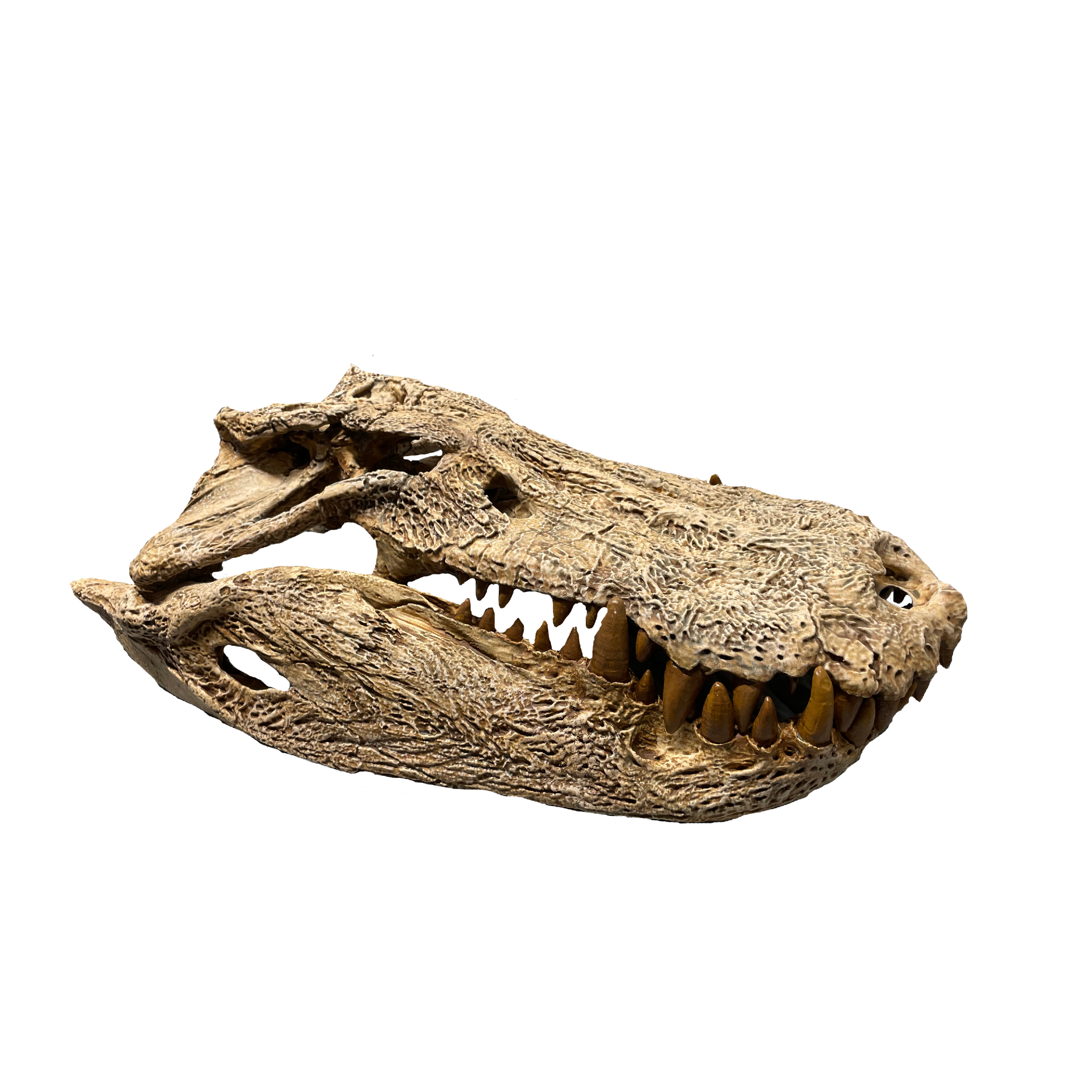 Mahajangasuchus