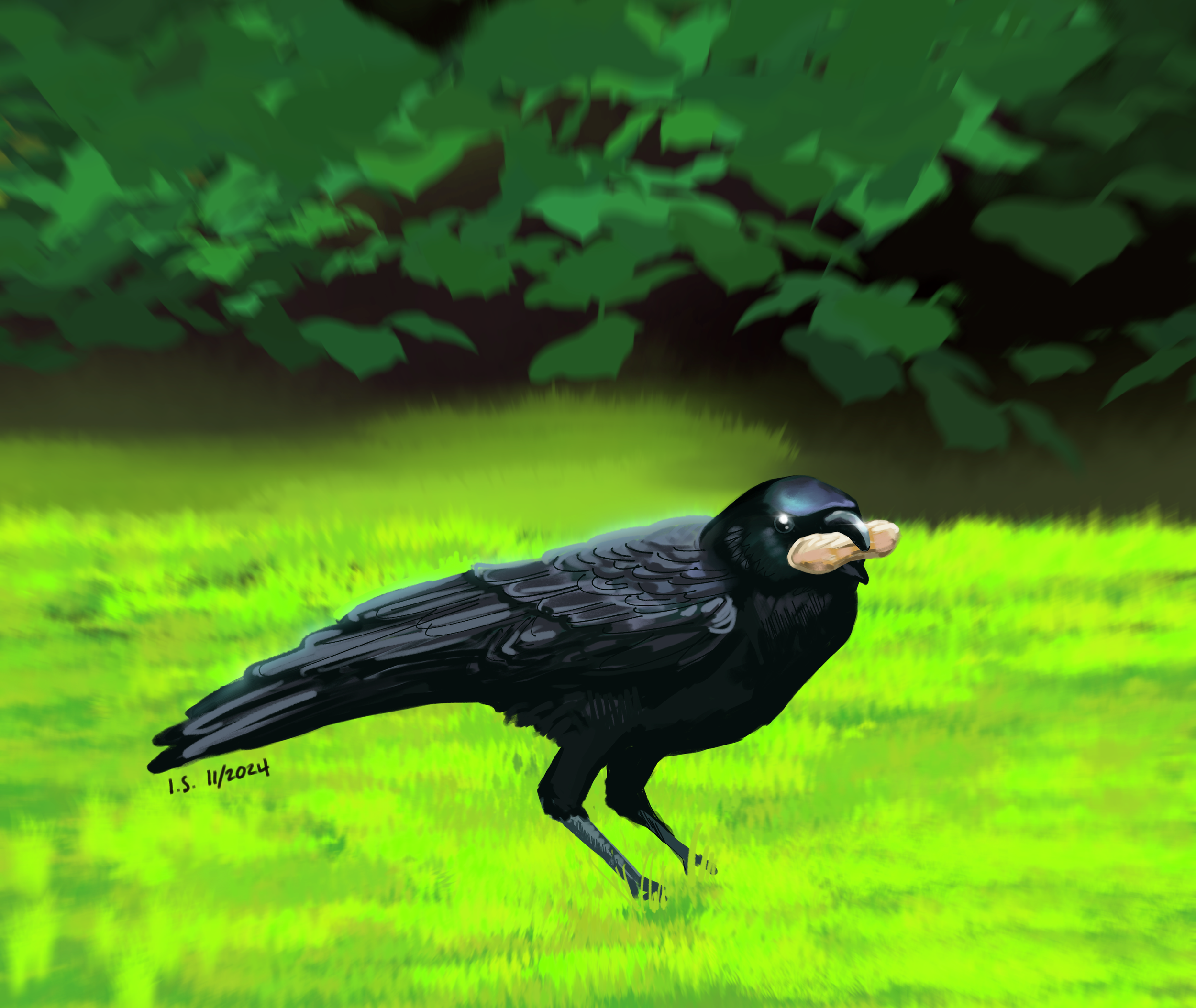 Untitled_Artwork.png