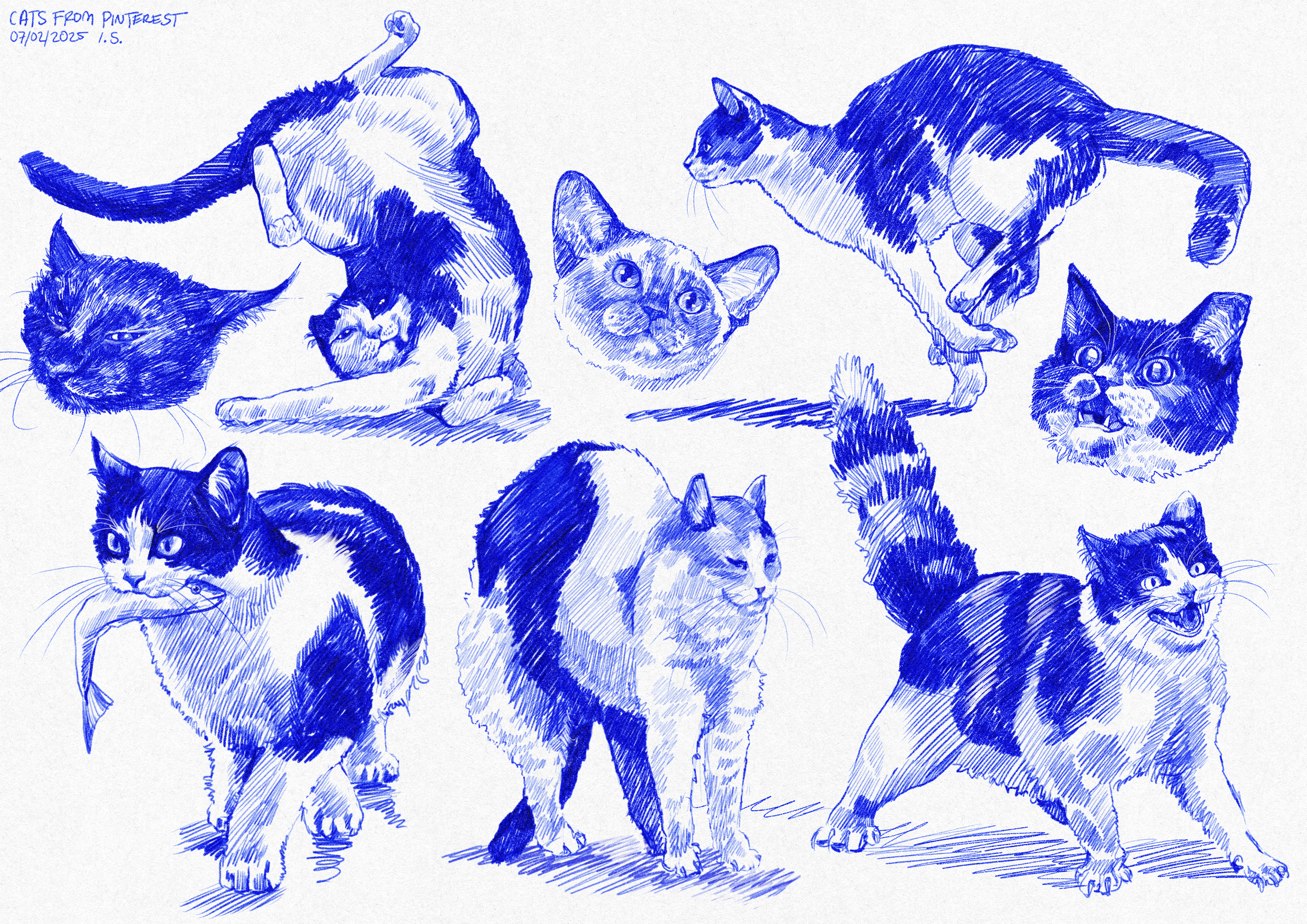 IMG_4116.PNG