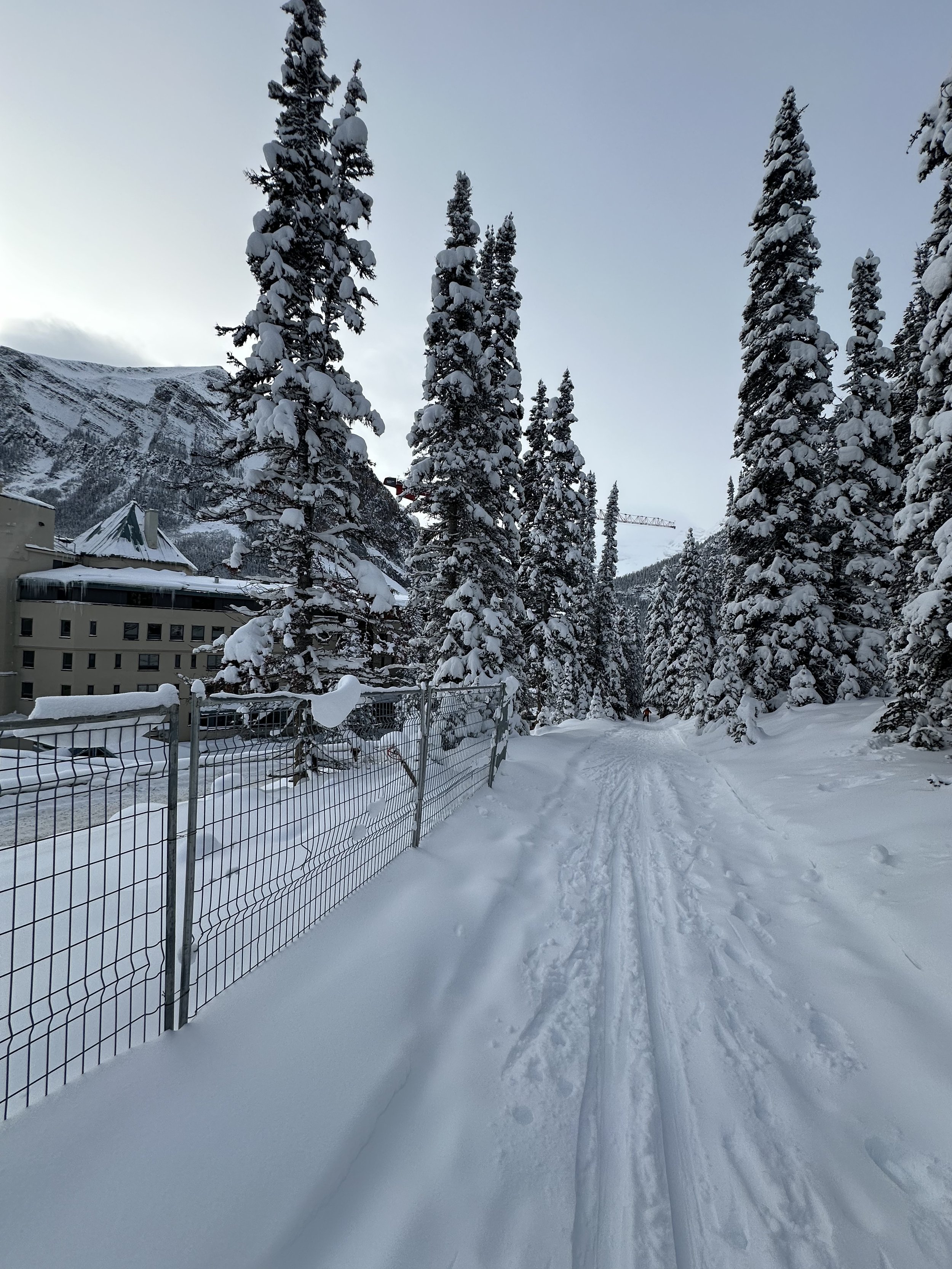  Telemark trail behind Chateau  