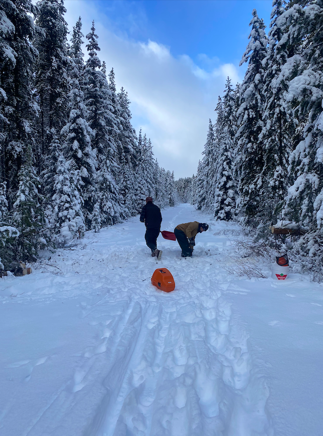  Loppet volunteers hard at work! In the summer and fall, there is often deadfall or debris that blows over the trail. The volunteers are proactive at clearing the trail so the snowmobiles can proceed when the time comes early January! 