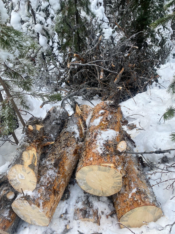 Screen Shot 2025-12-15 at 12.45.14 PM.png