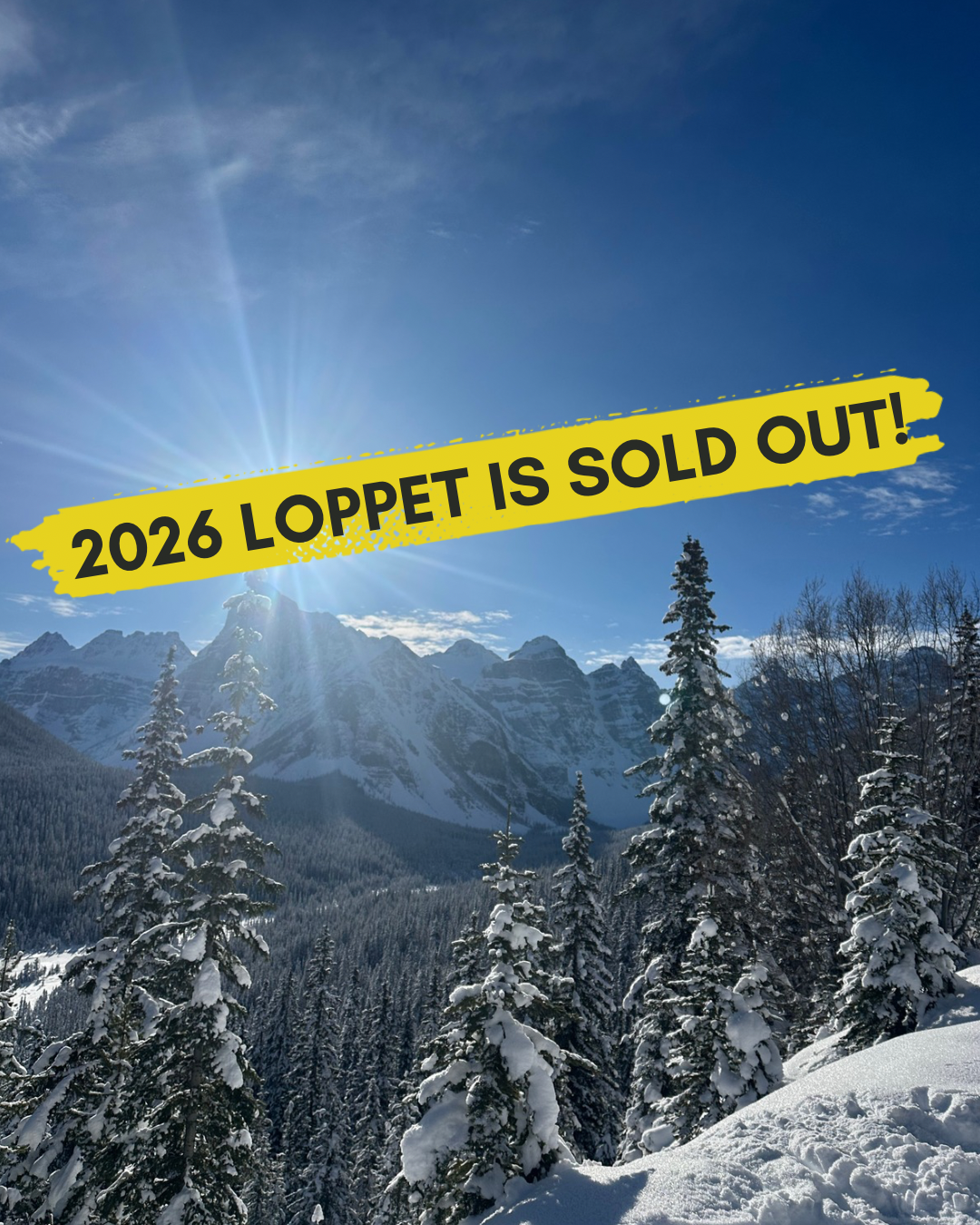 Copy of Add a heading.PNG