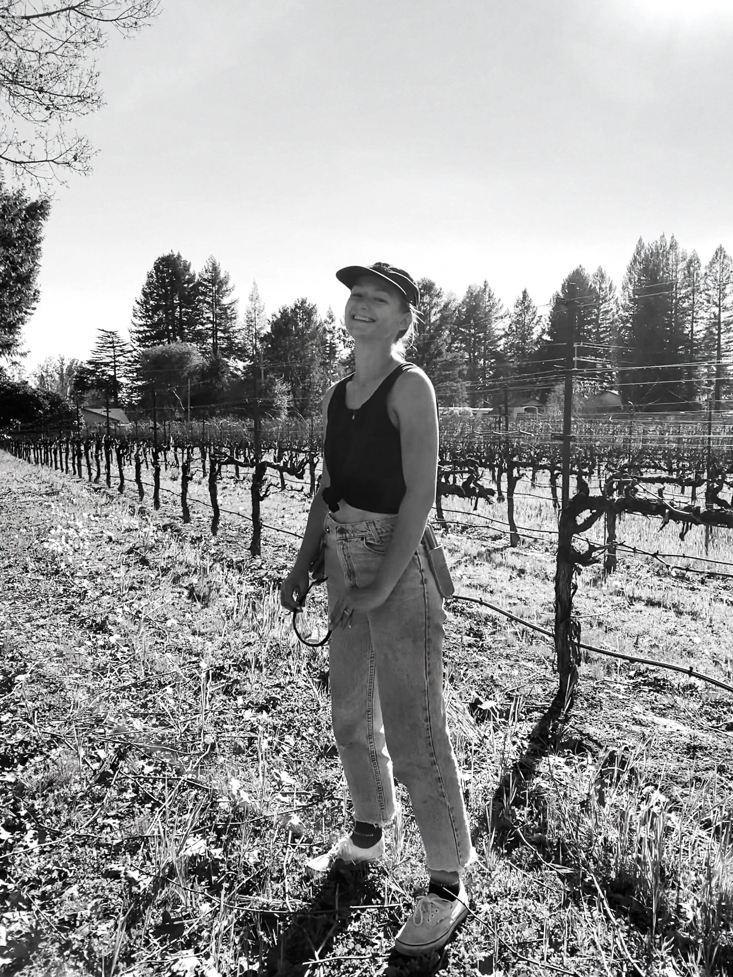 Behind the Scenes вЂ” WINeFare