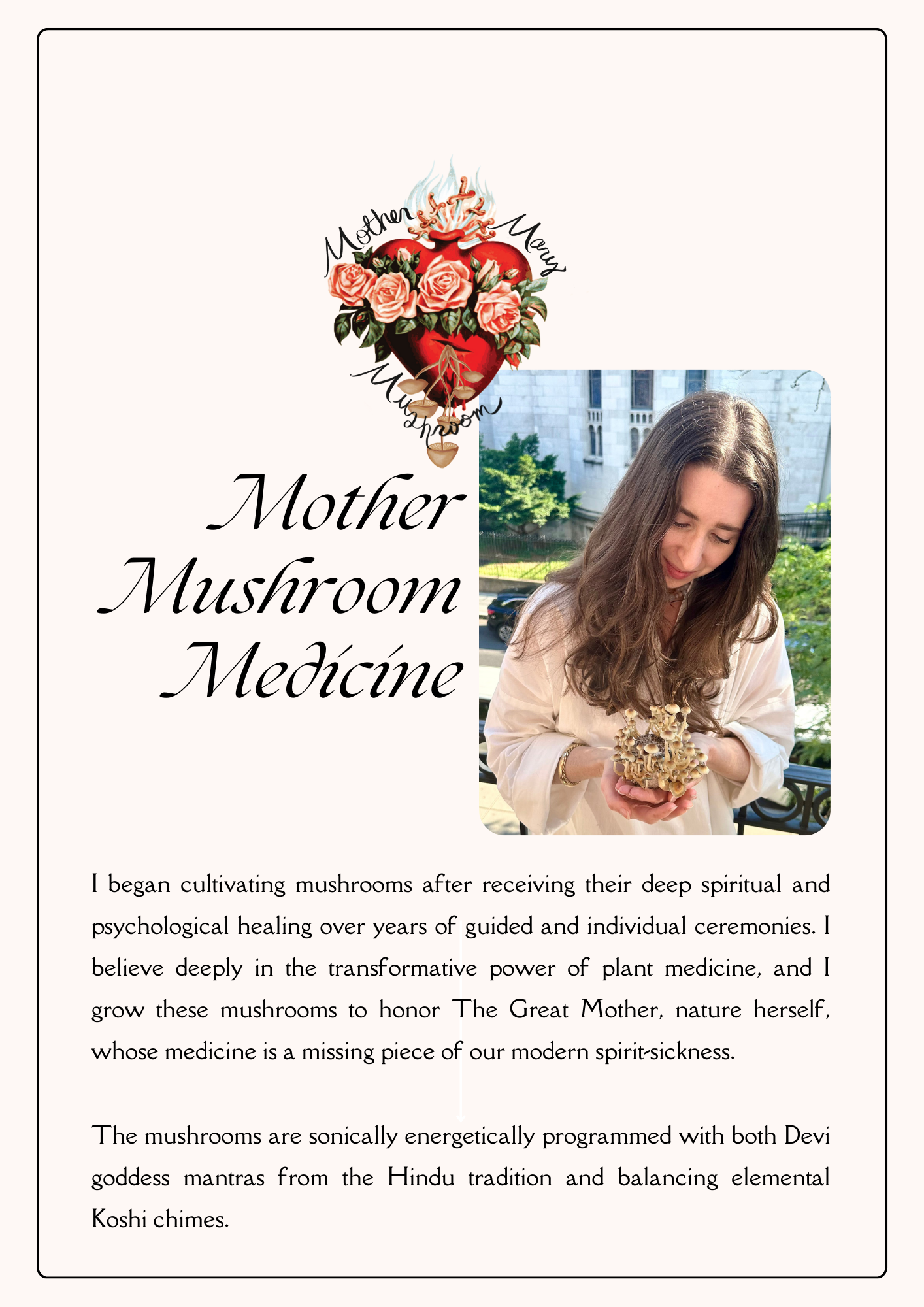 Mother Mary Mushroom Product Catalog.zip - 2.png