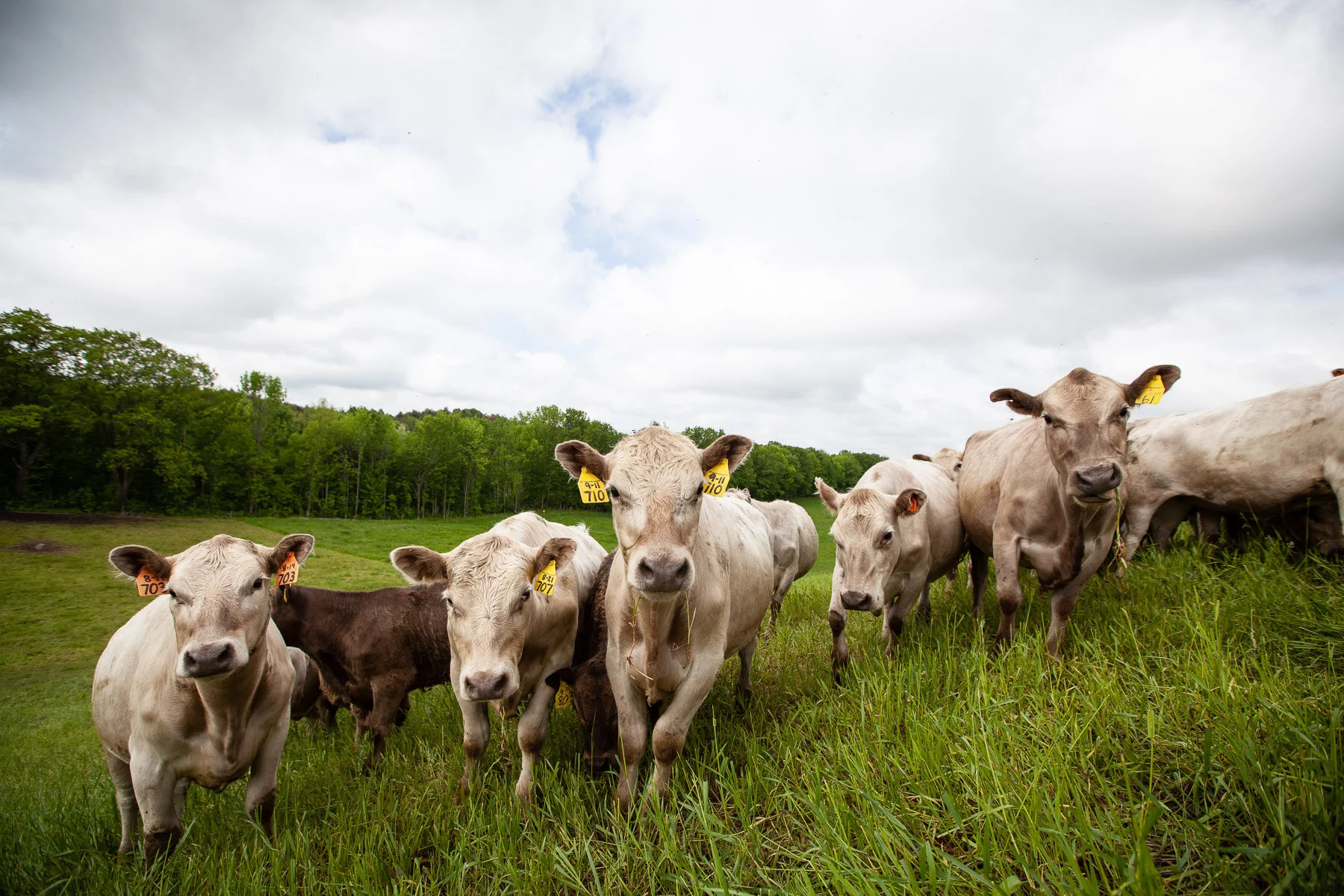 Schultz_Family_Farm_WEBSITE-19.jpg