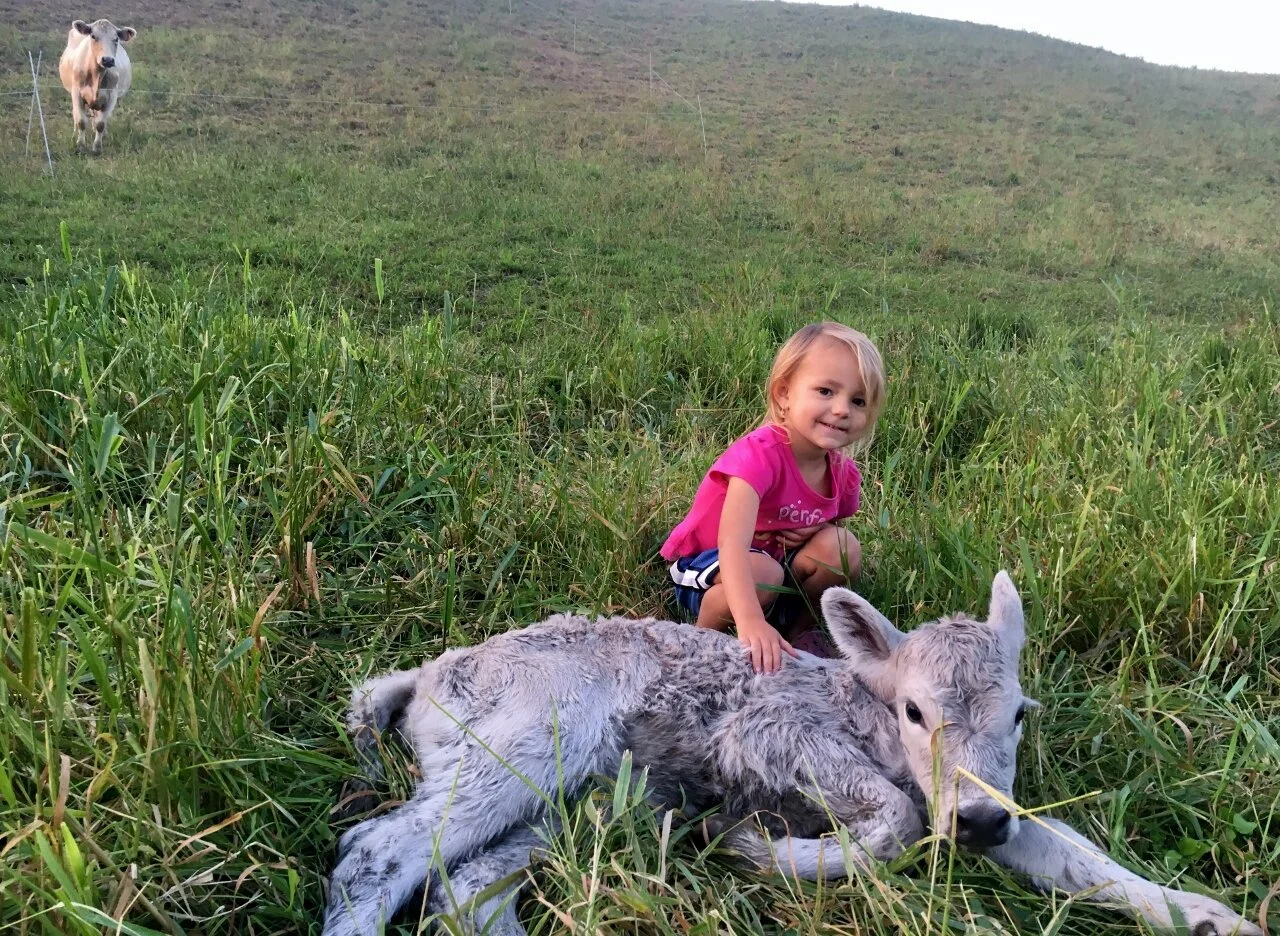 Halo with Murray Calf.jpg