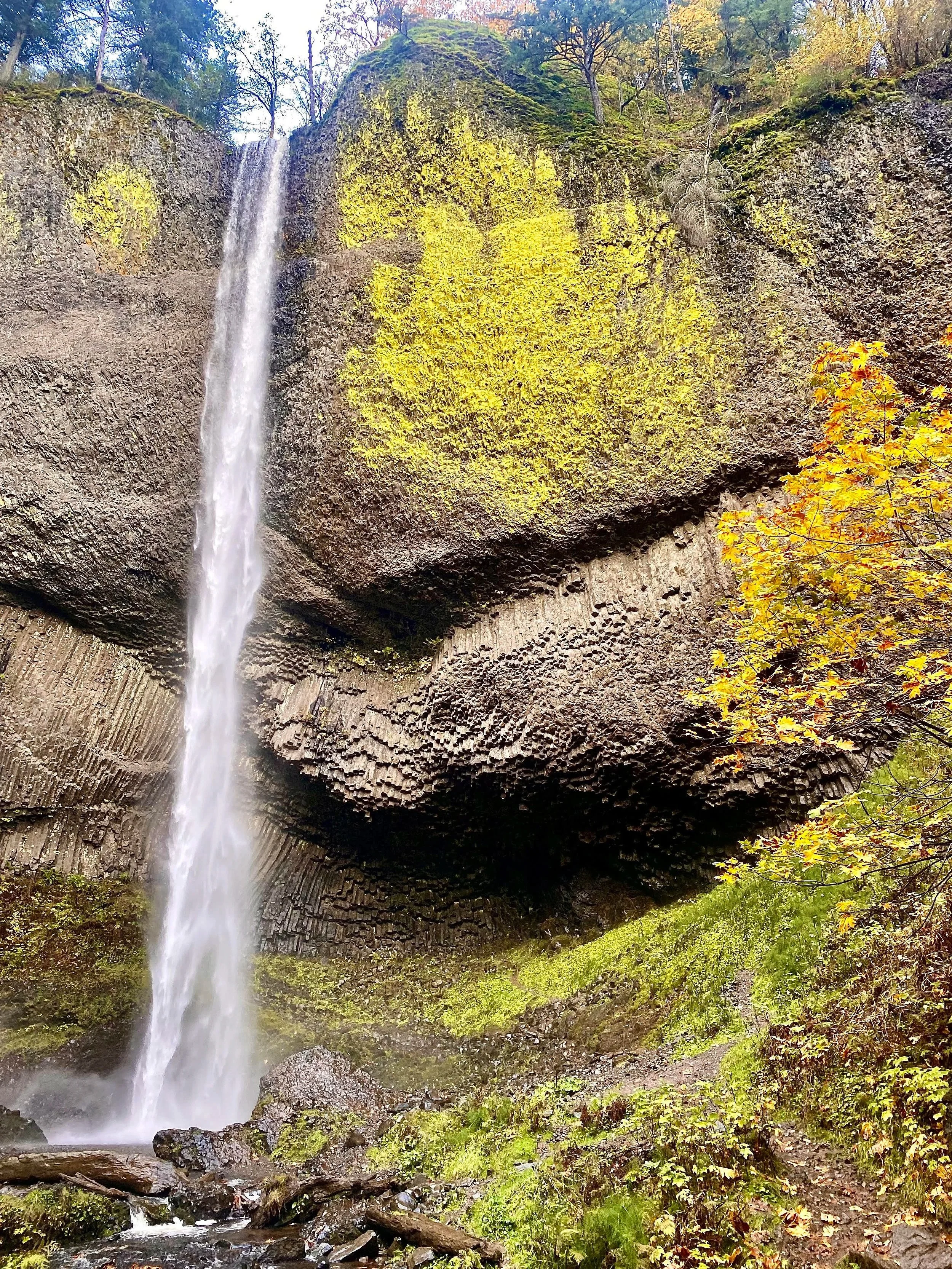 unnamed+12.jpg
