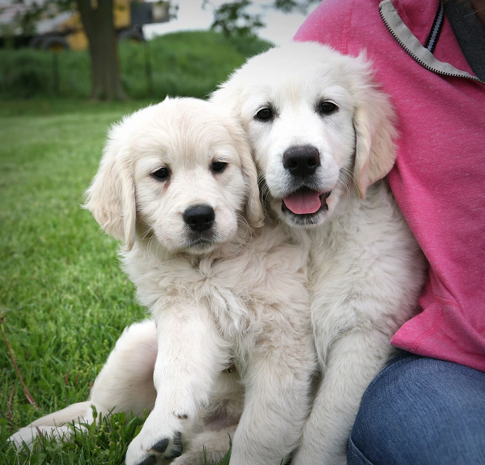 nellie x Bea.jpg