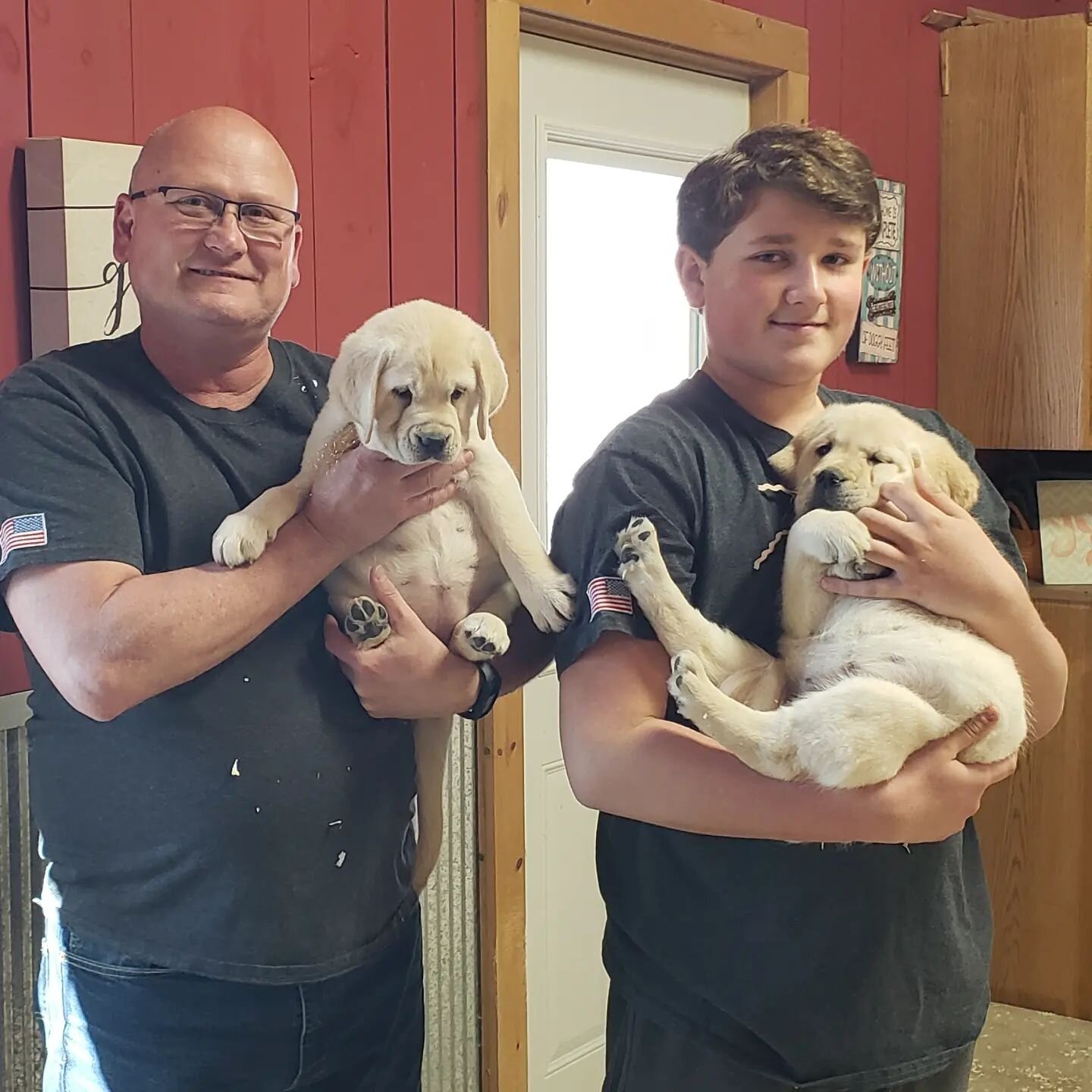 Oh, the places you will go...Super excited to see Miss Pink (her new name is Hope) and Miss Gold join their local fire departments in Iowa as therapy dogs. Girls...you have a bright future ahead of you.💕🤗

#therapydog #mybuckeyekennels #mybuckeyeba