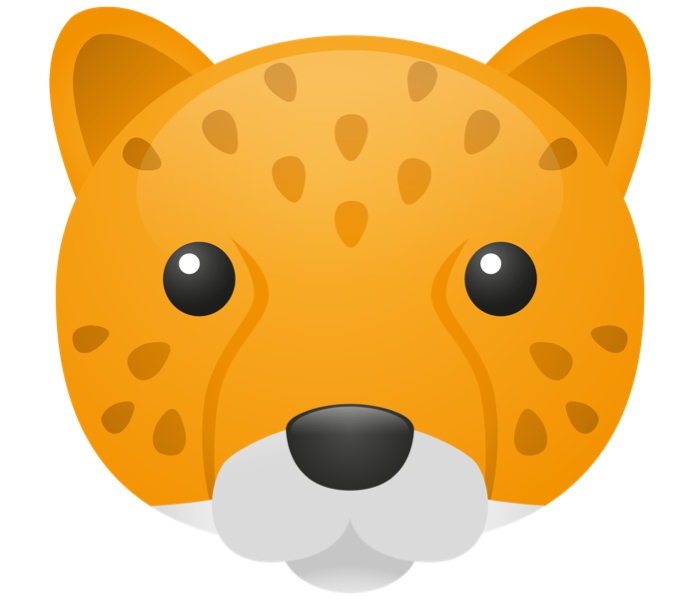 THE CHEETAH