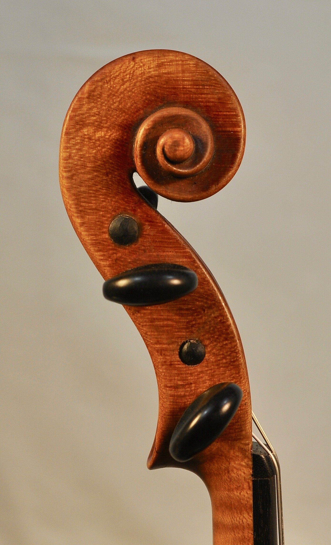 Scroll of a violin by Carl George, c. 1908