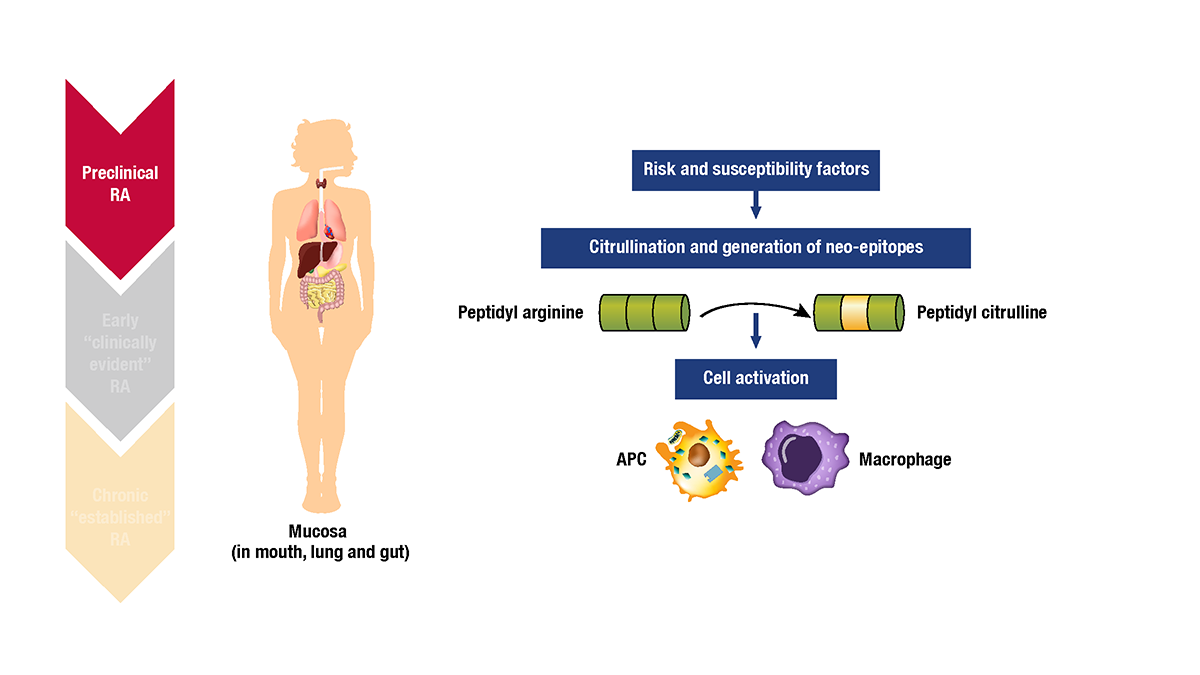 DM3_Gilead Filgotinib gfx_v13_FOR REVIEW_Page_06.png