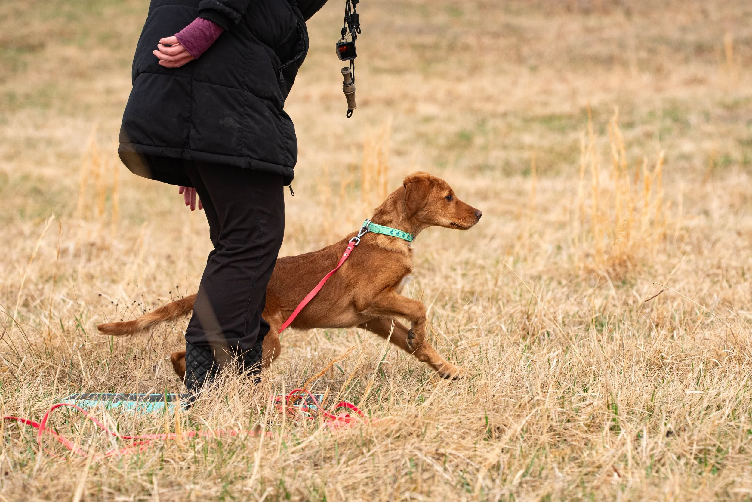 DSC_3854-1.jpg