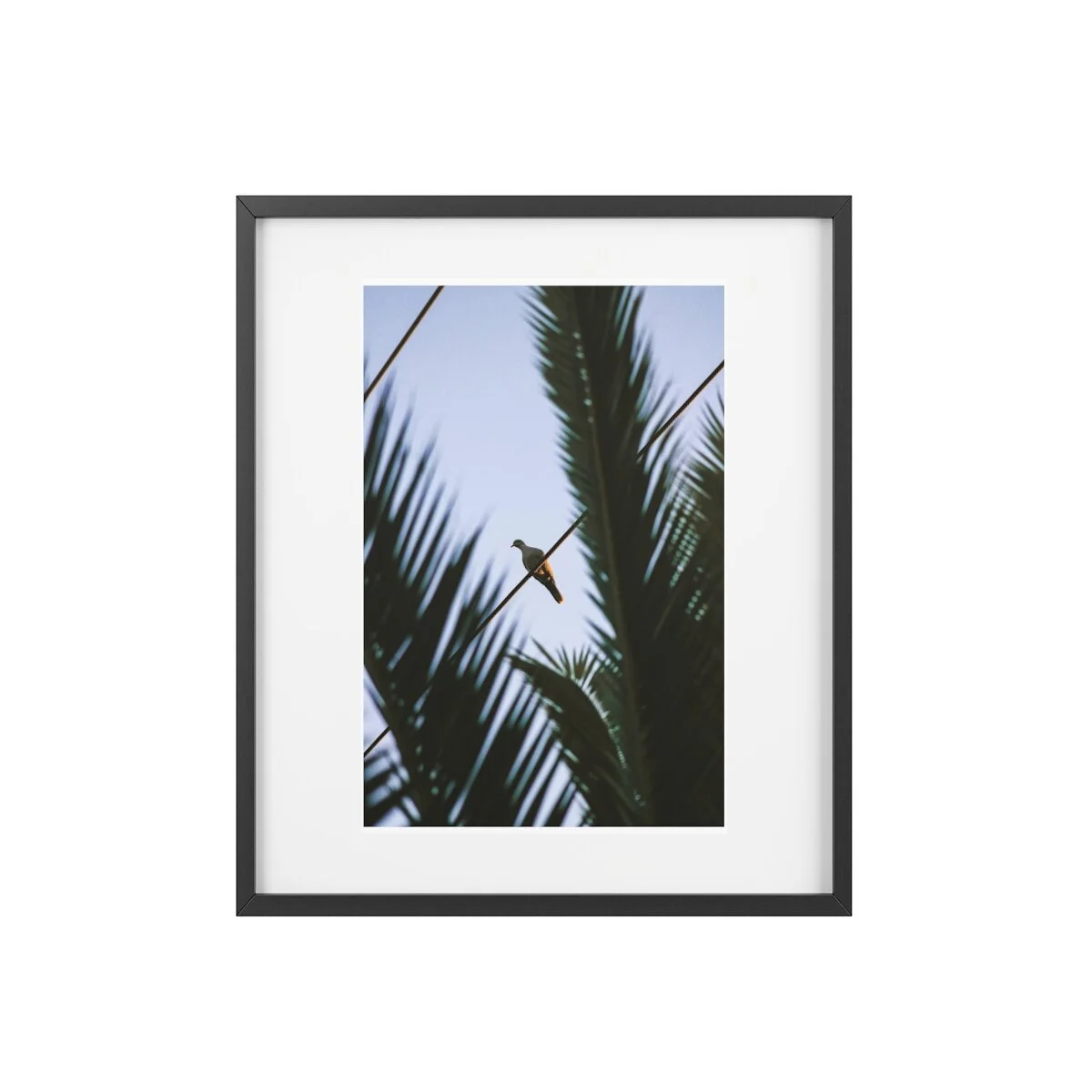 261d39ea78d8ab70ec63ea1954fe8258