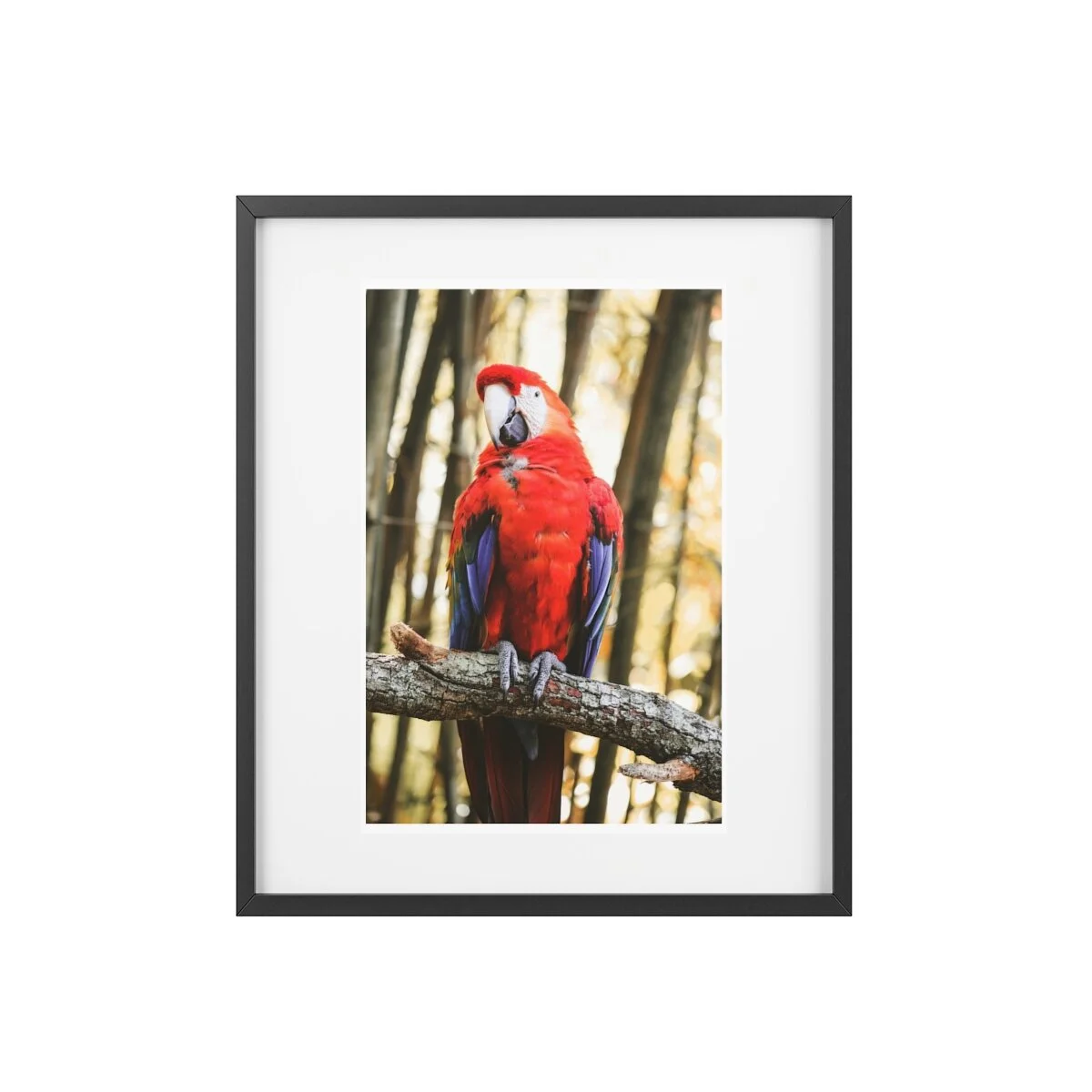 854292b13fc25265bb1a234da1ba4bb2