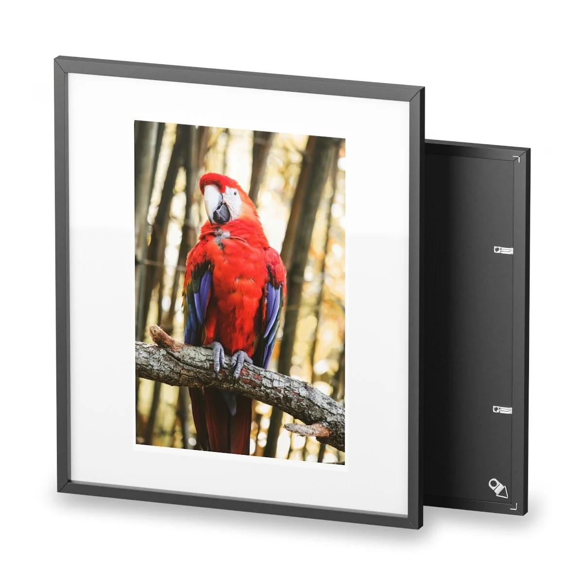 ffc4498337e641ecf5671046da3ed7af