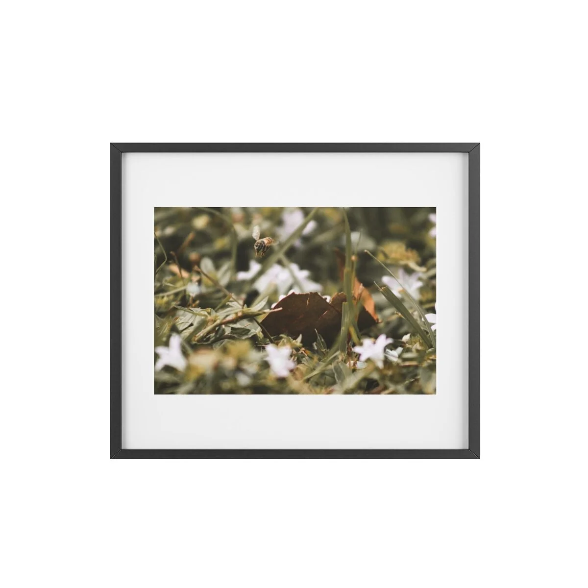 045716ae1e10bc4a57fdd152244cdf57