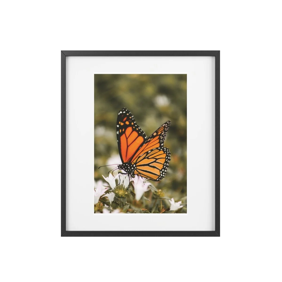 6d44fe174216325914254949715feb94