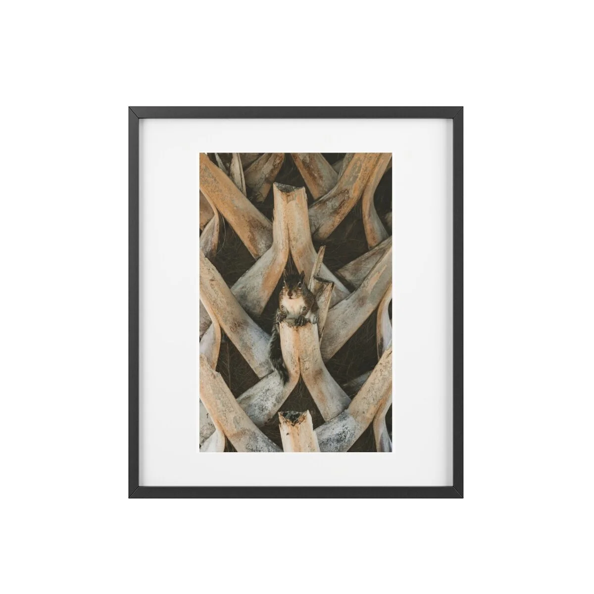 1f4008bf10c33c11d81e56cd44bf5c21