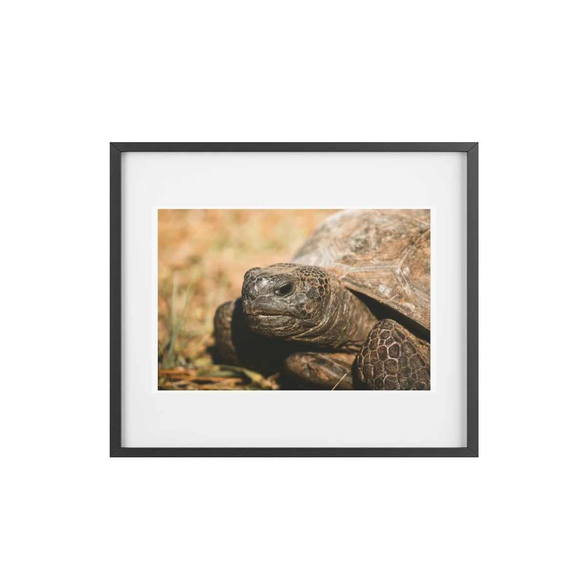 7813fde8b49255b664e993525ff9df58