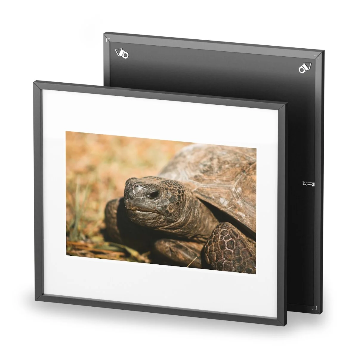 2cc18e78e7cfcd5db6f6573d00a07ab3