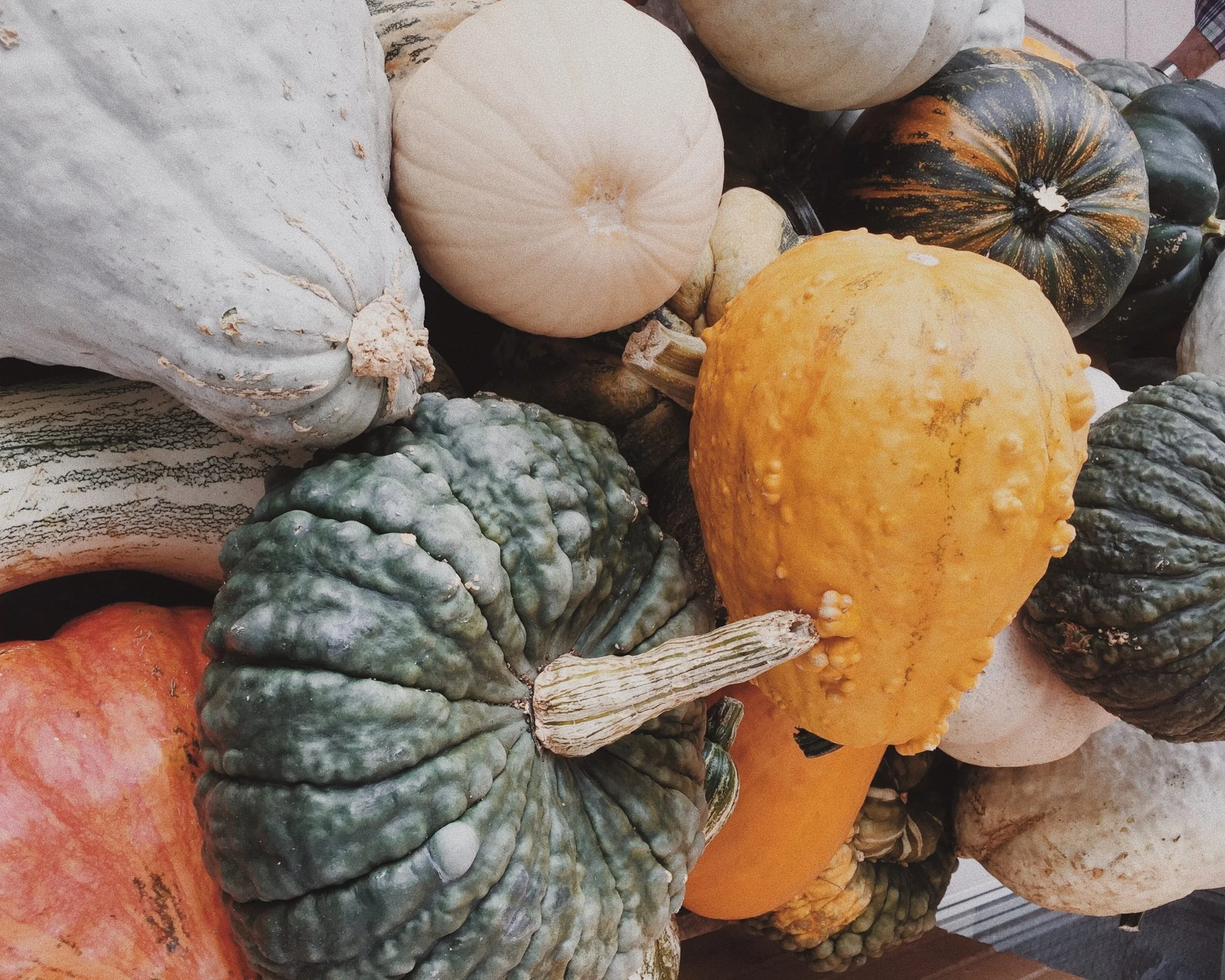 Why Eating In-Season is Healthier (&amp; More Delicious)