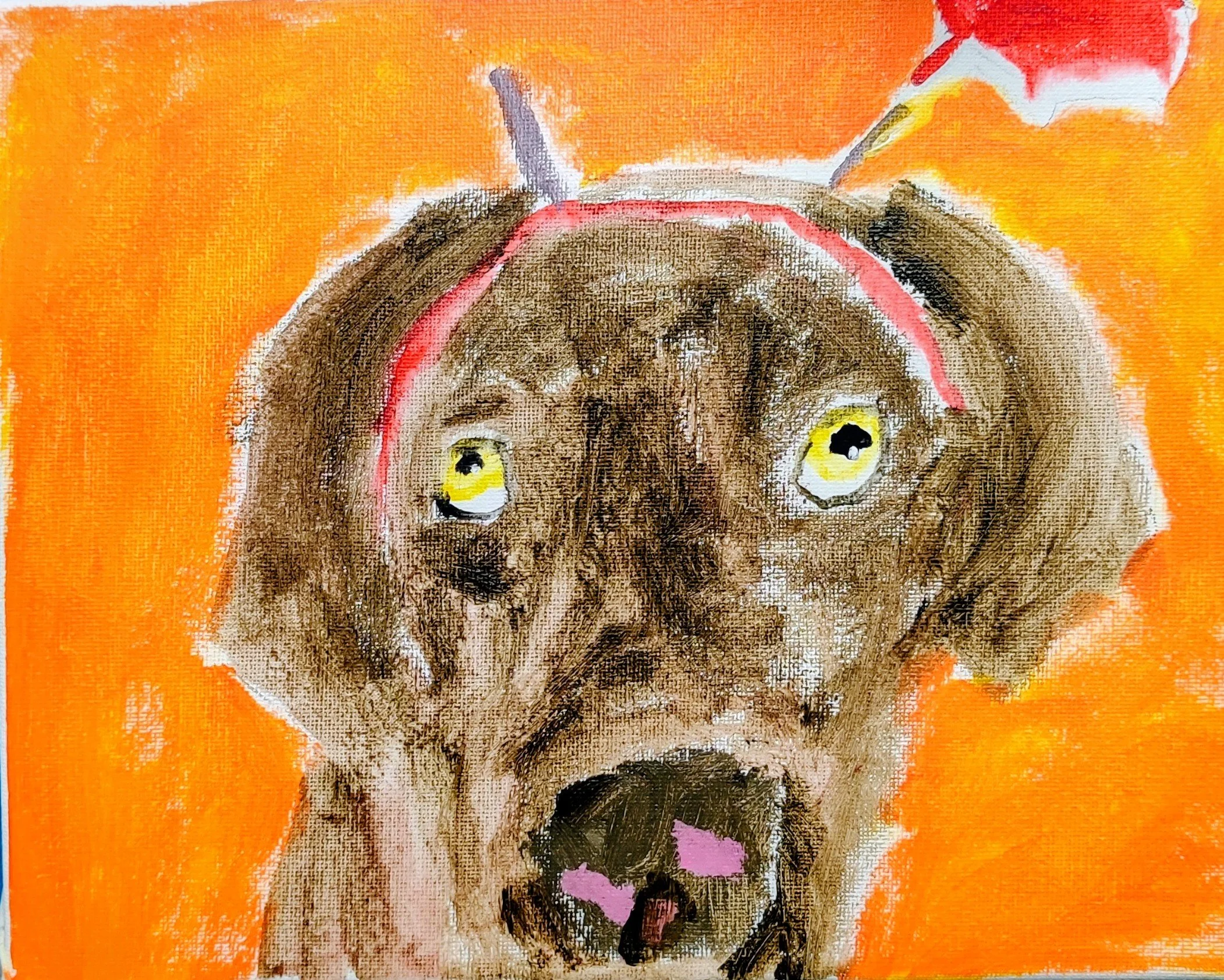 petportrait3.jpg