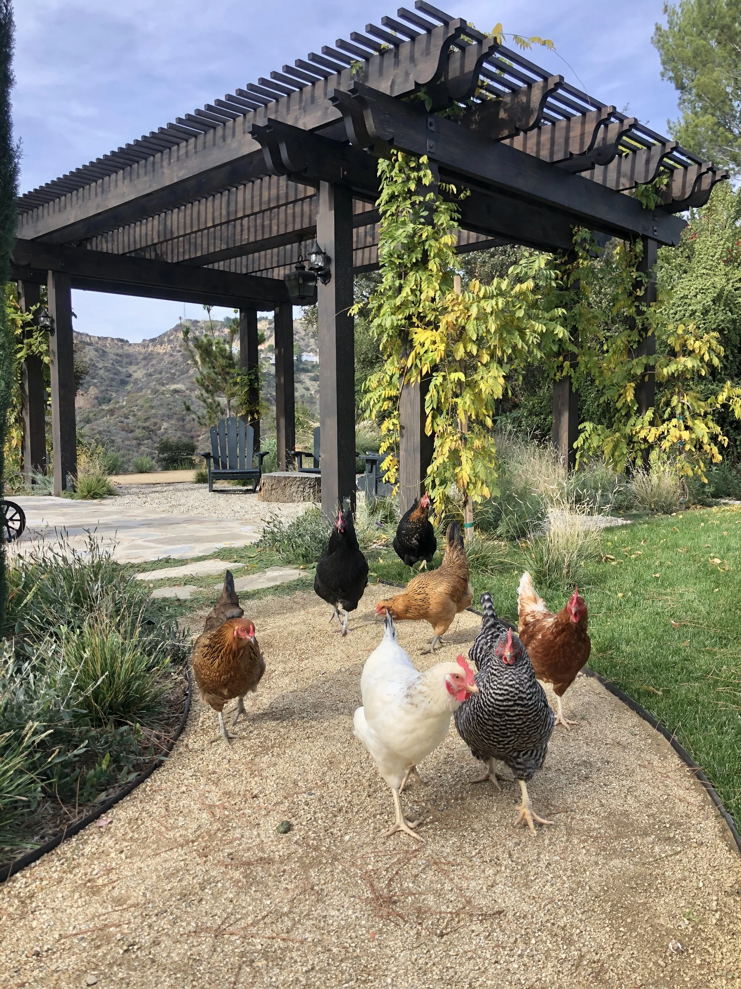 Patrician Way Residence