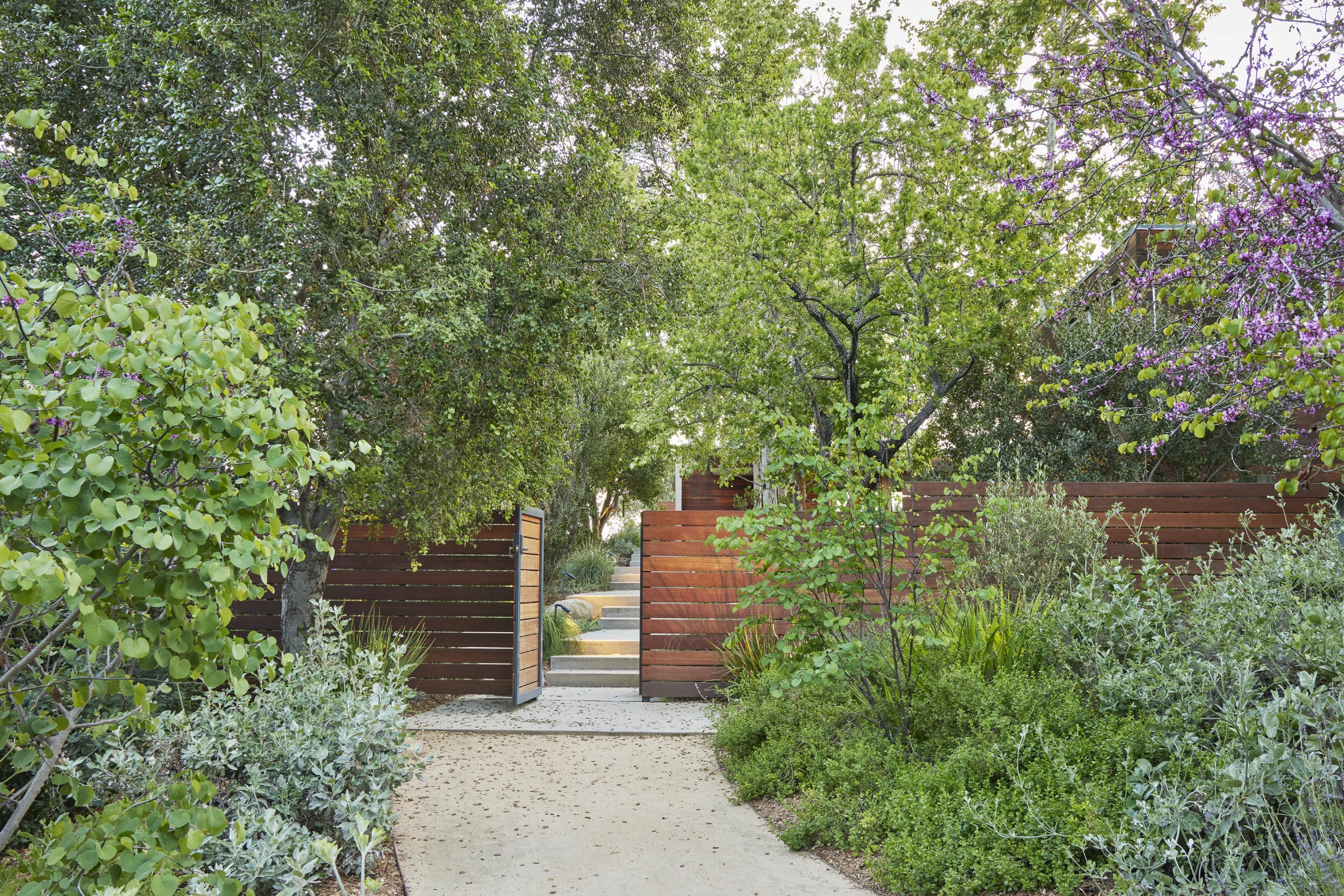 fi campbell - hidden canyon.jpg