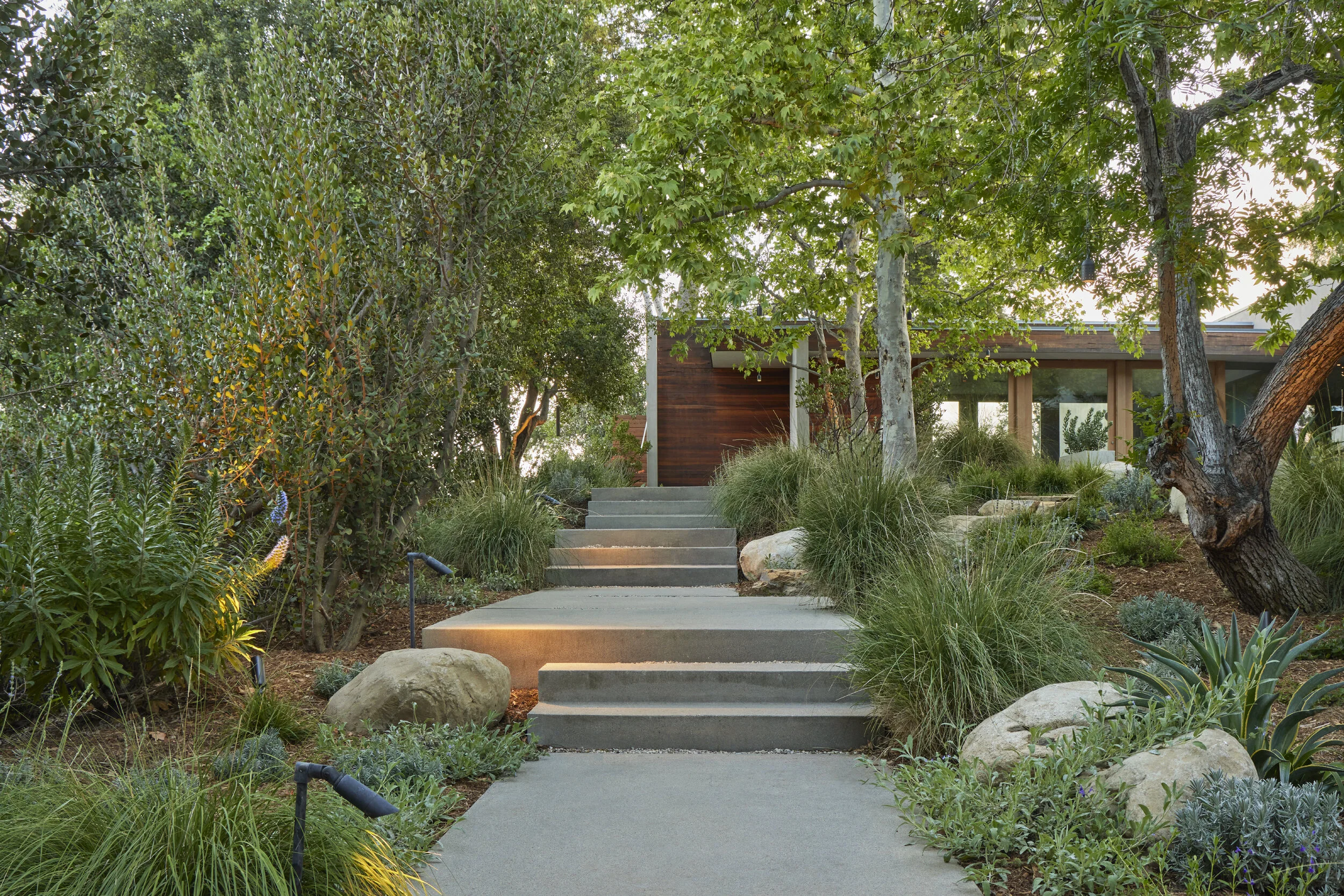 fi campbell - hidden canyon.jpg