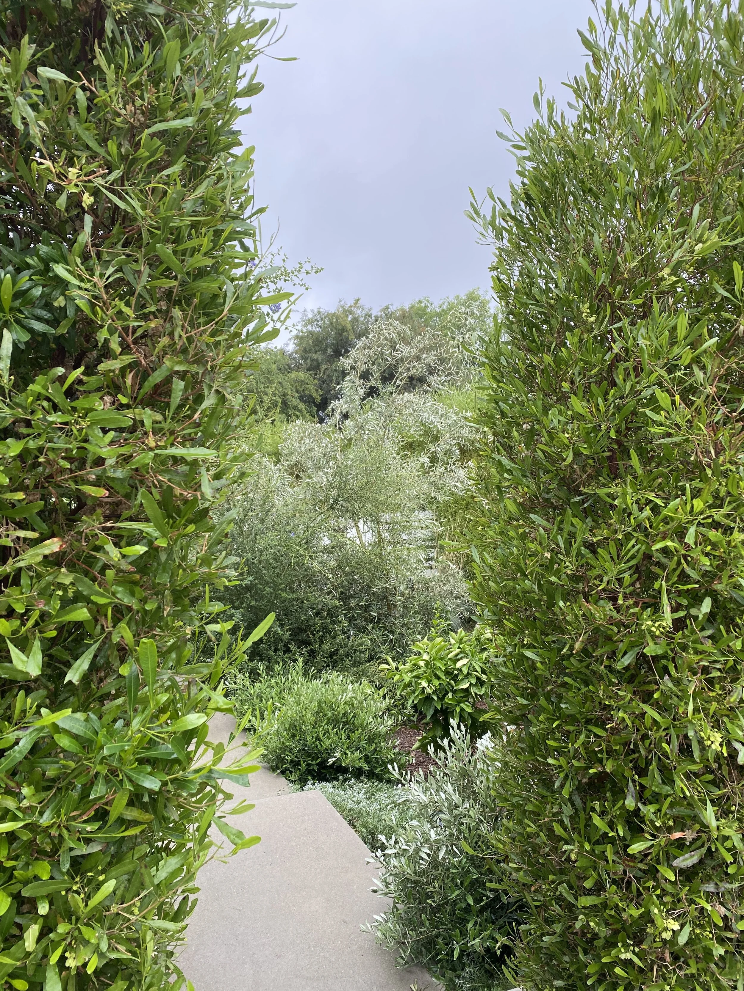 Calaveras Avenue Residence