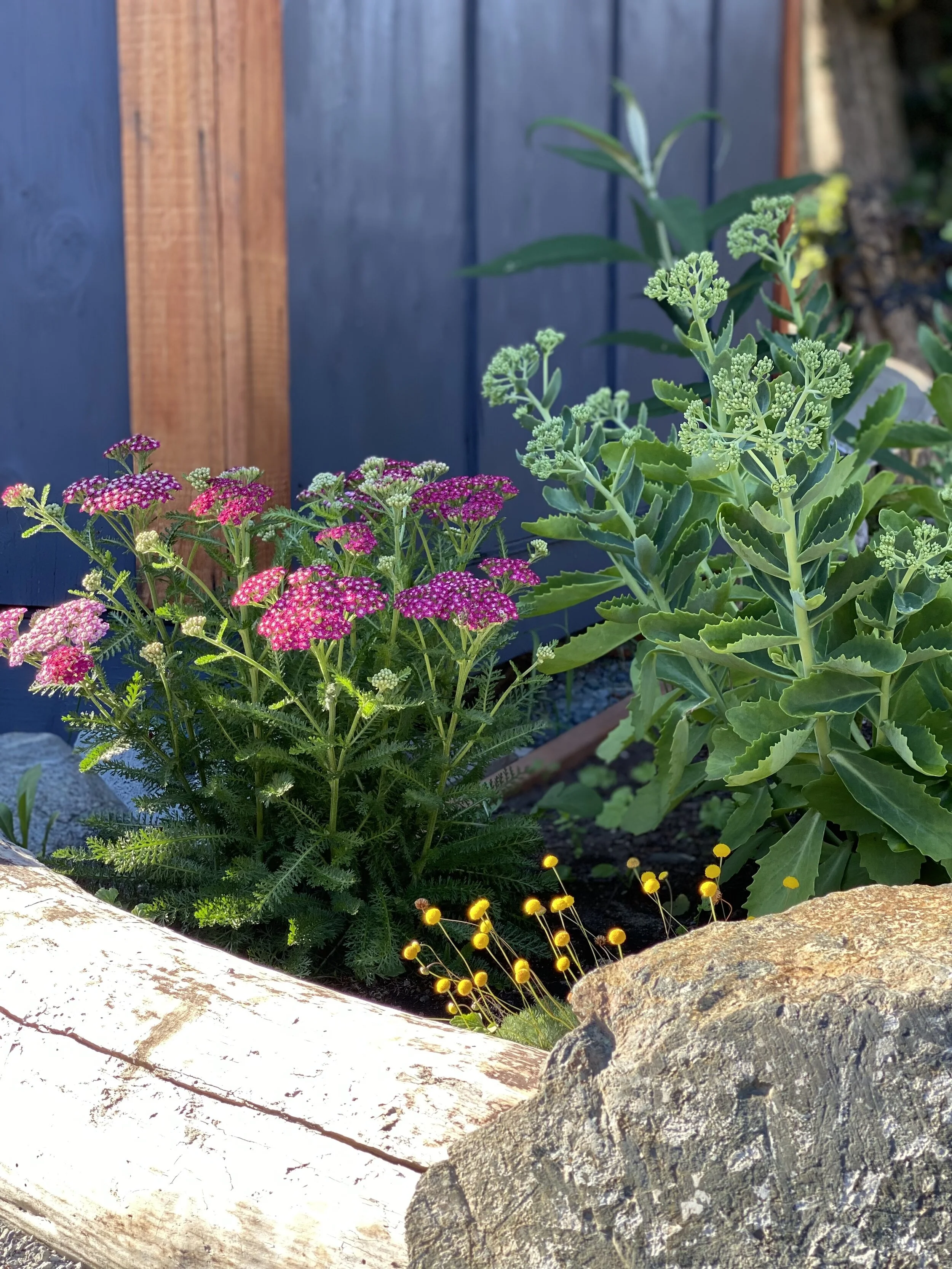 Russell Street Residence