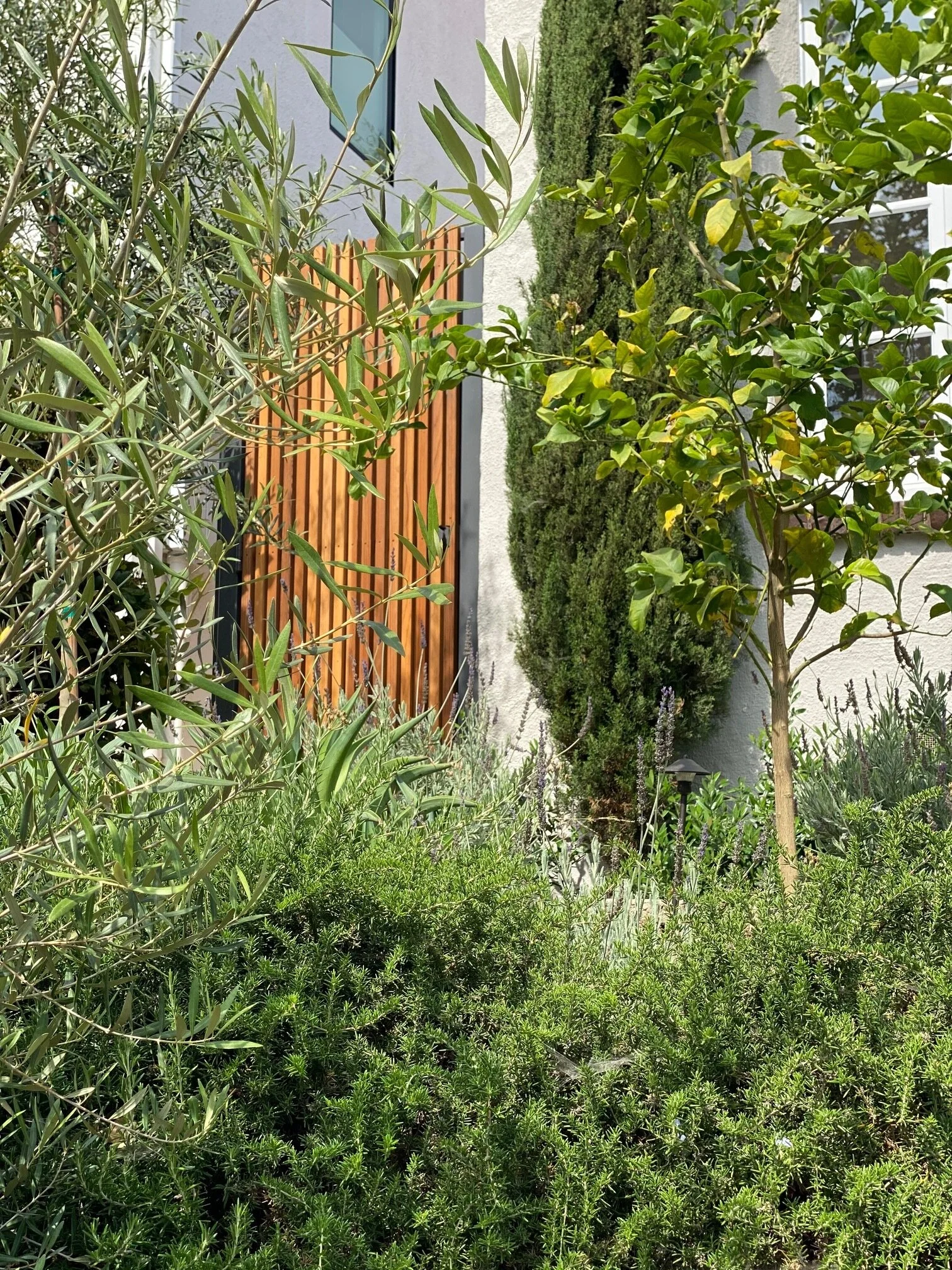 fi campbell - balmer st.jpg