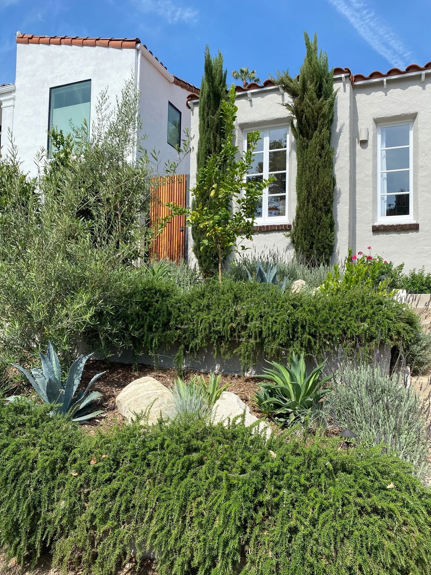 fi campbell - balmer st.jpg