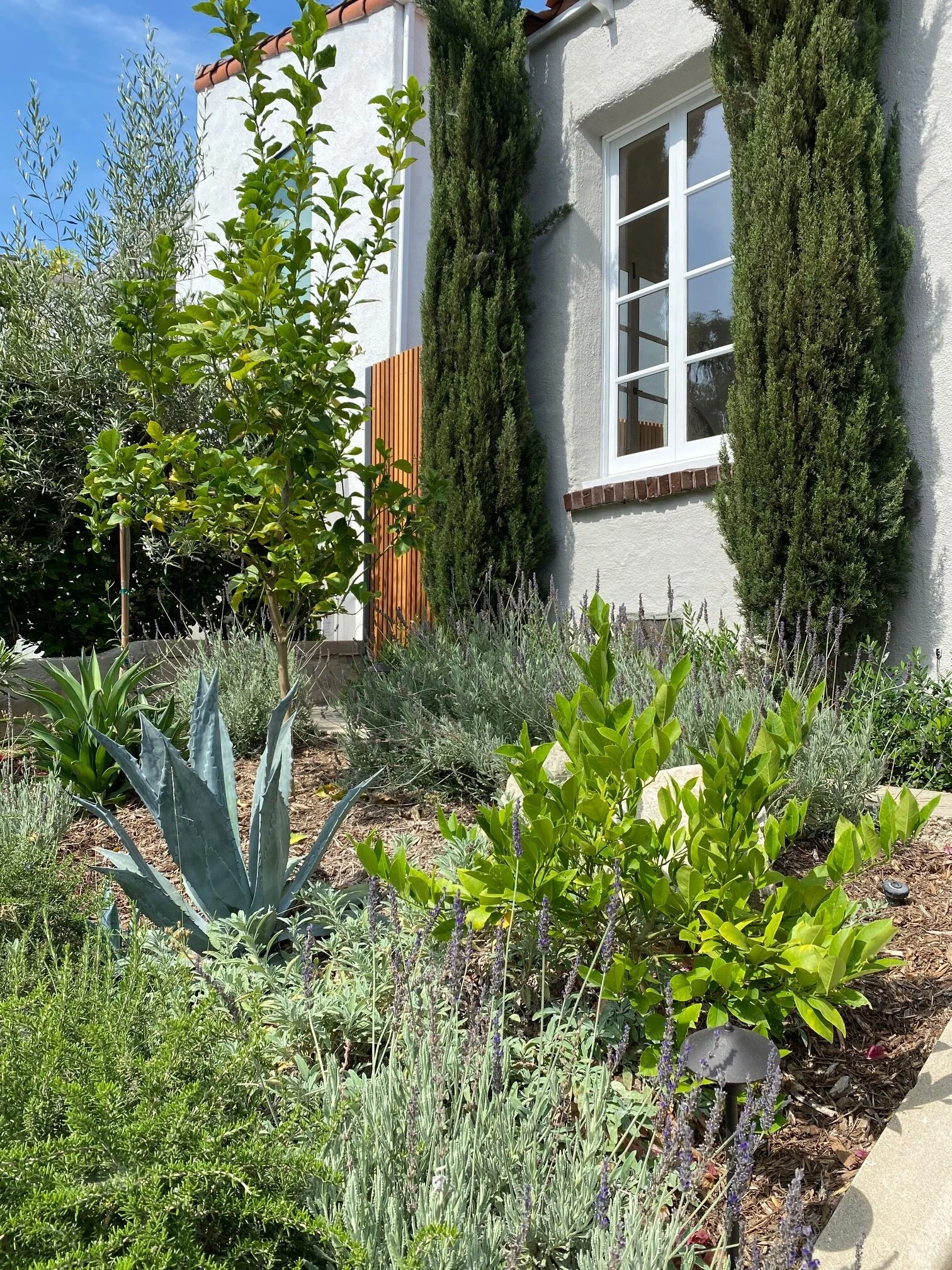 fi campbell - balmer st.jpg