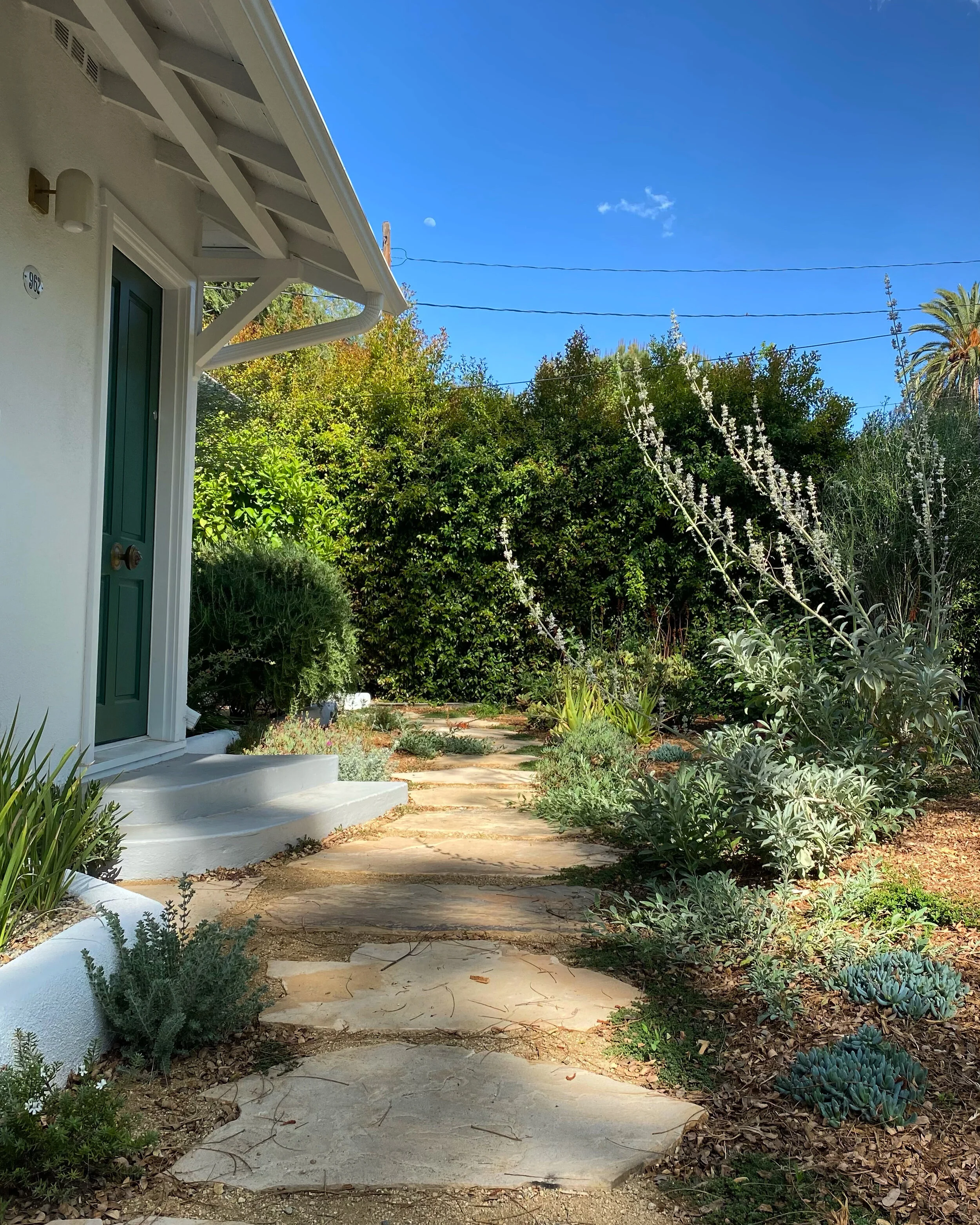 Terrace 49 Residence