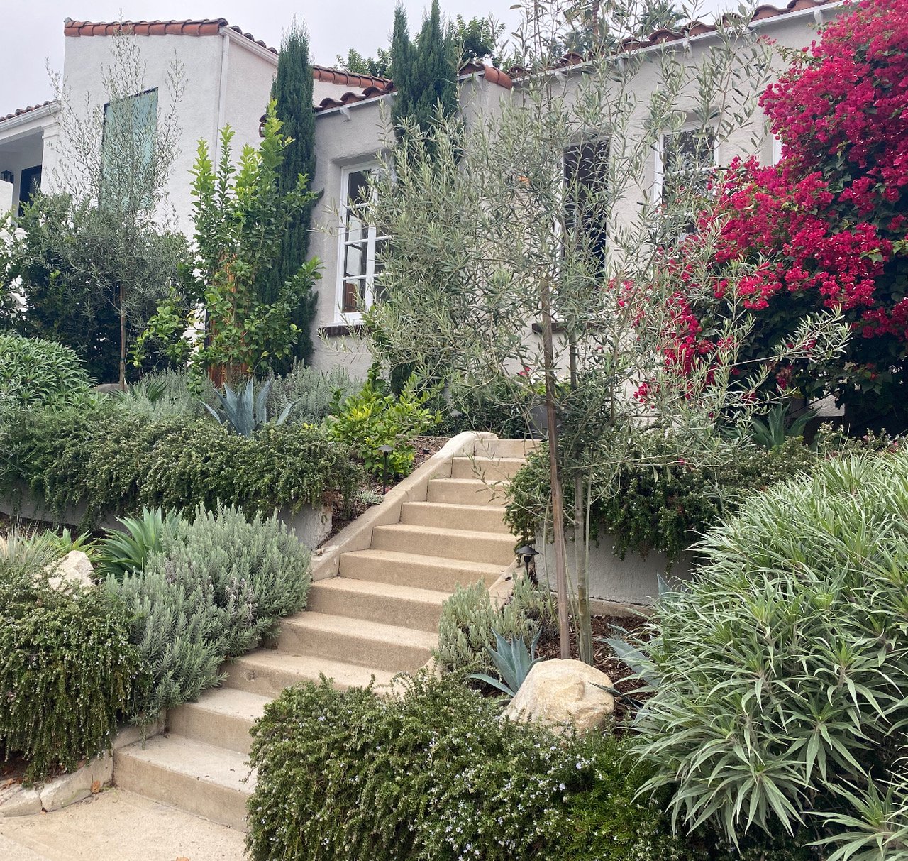 fi campbell - balmer st.jpg