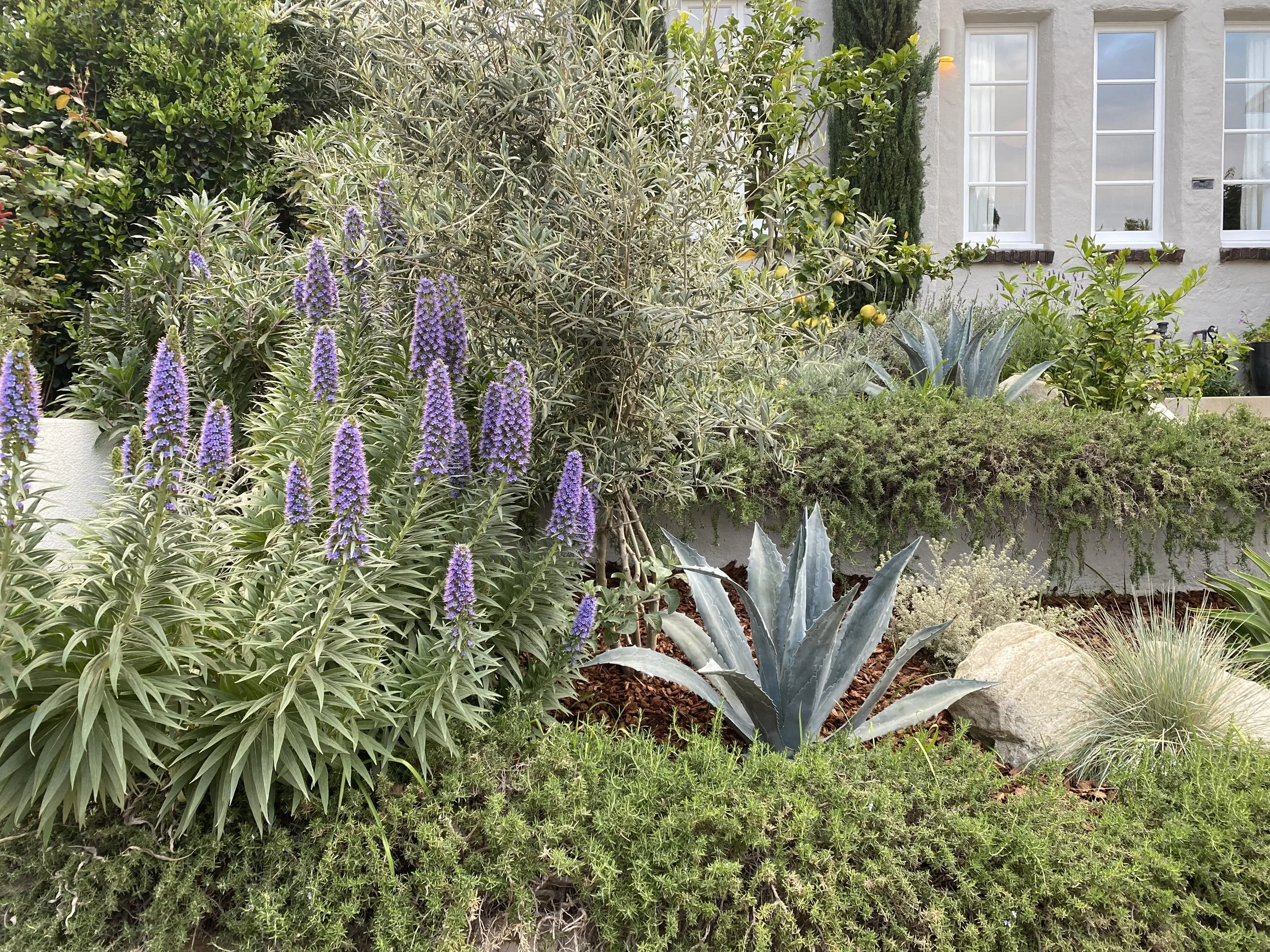 fi campbell - balmer dr.jpg