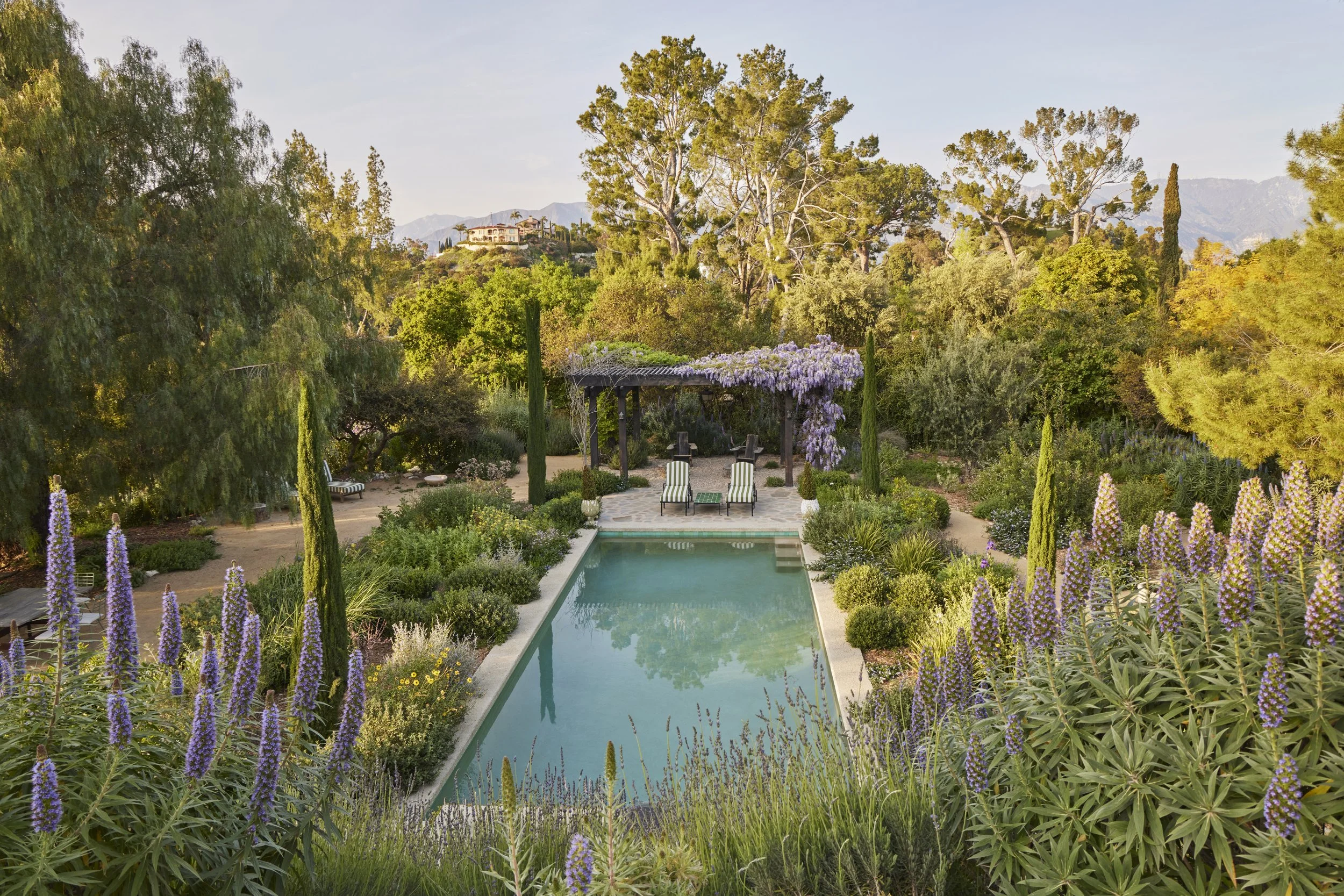 fi campbell - patrician way.jpg