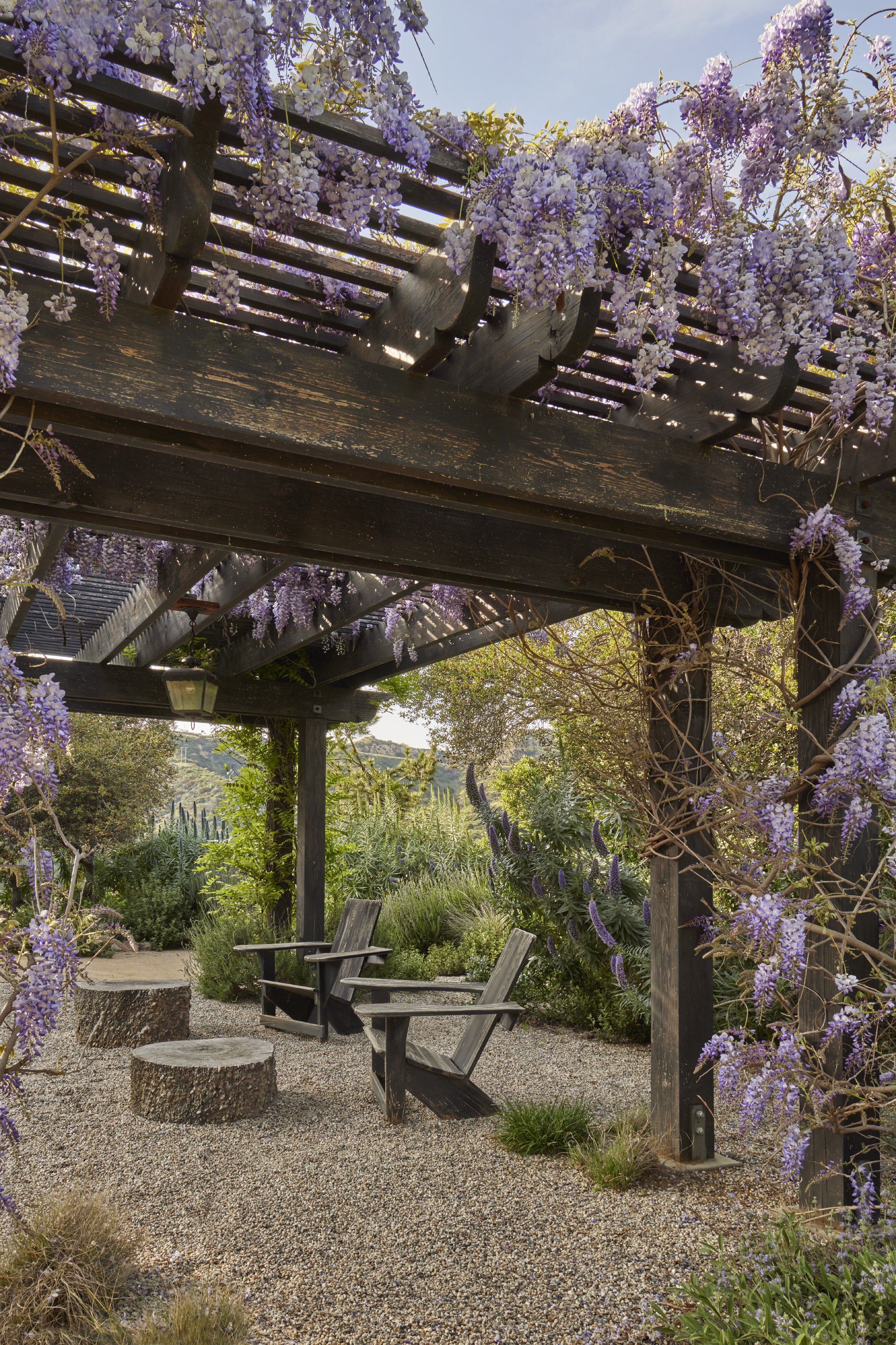 fi campbell - patrician way.jpg