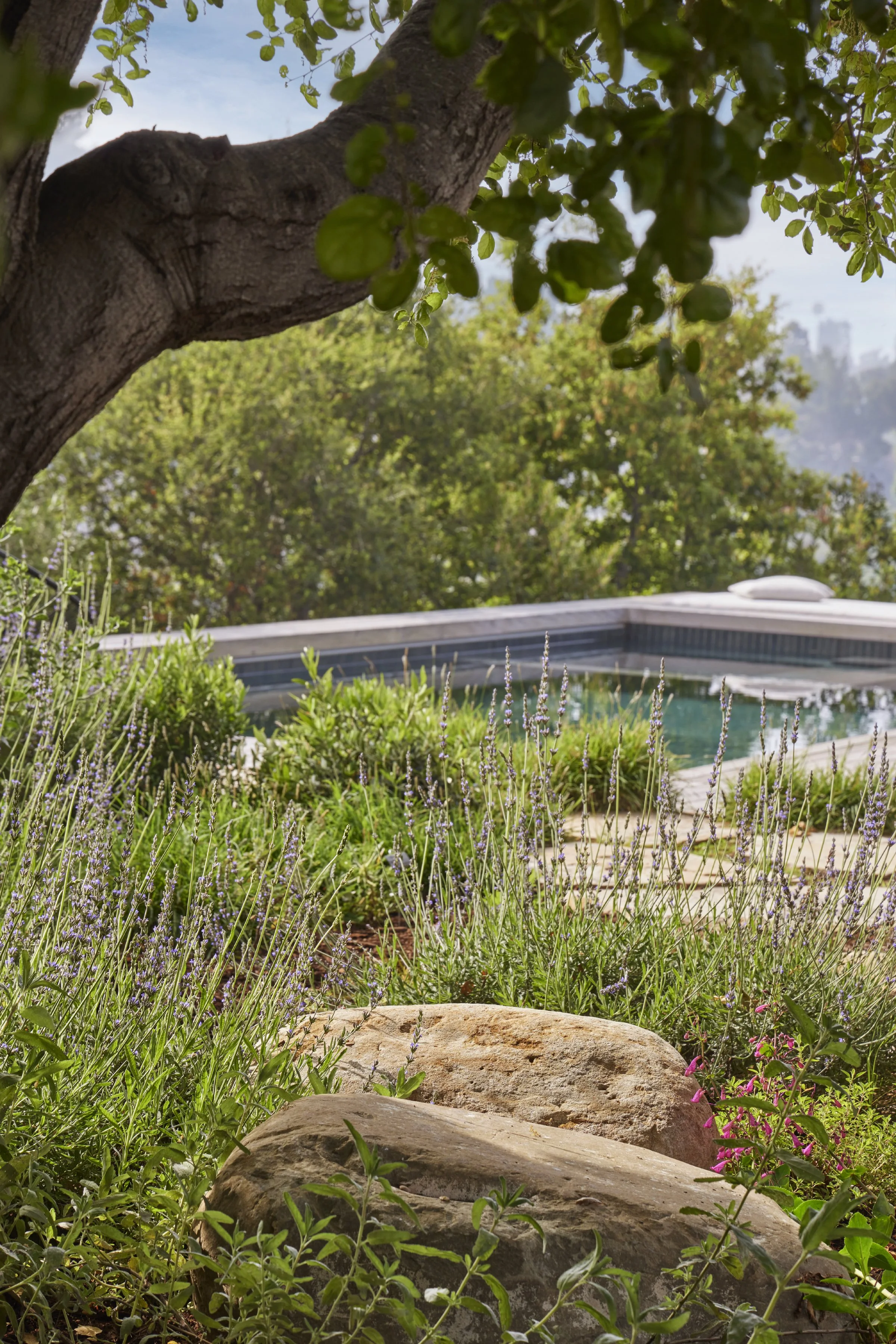 Hidden Canyon Residence