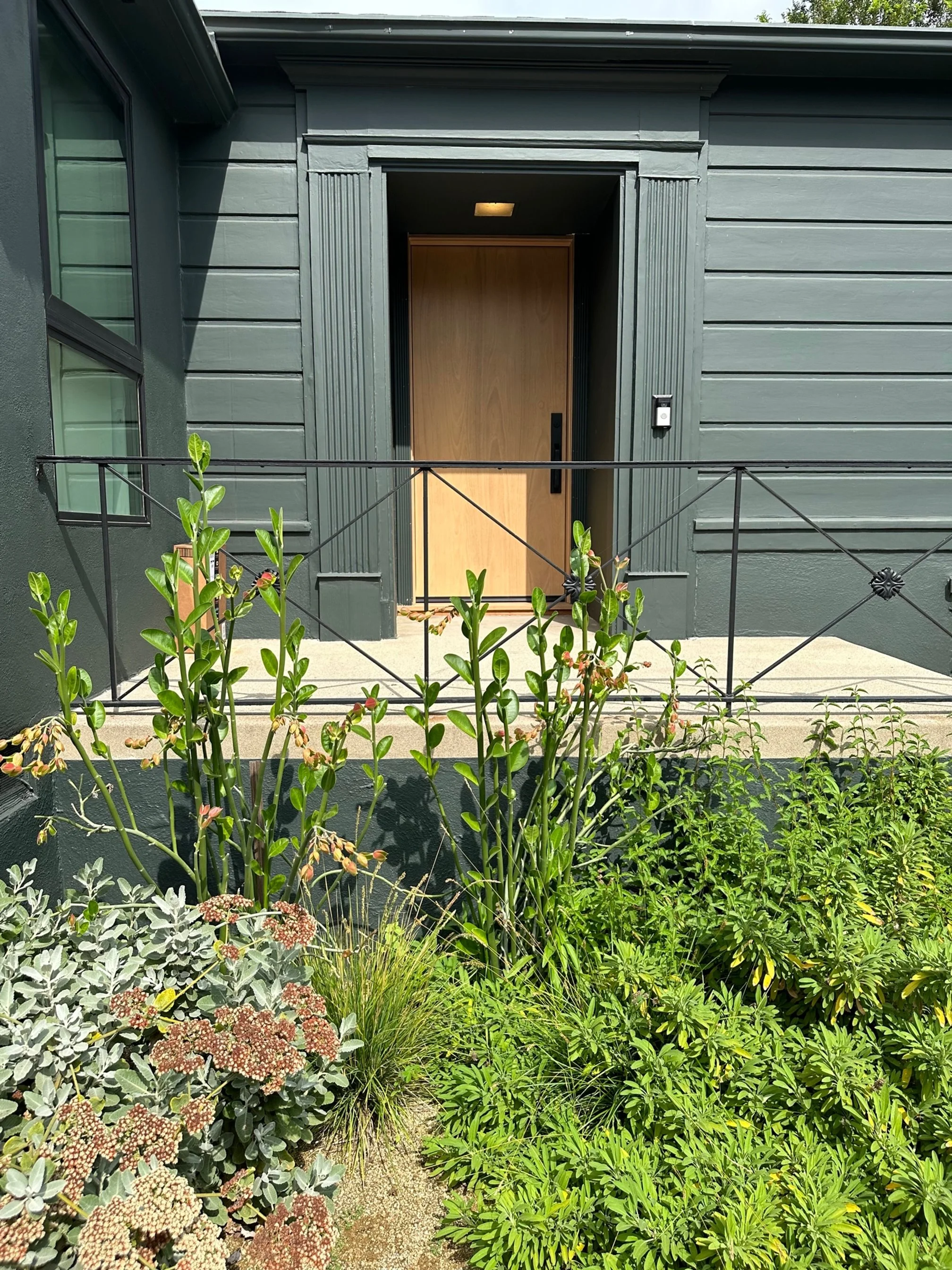 Hill Drive Residence