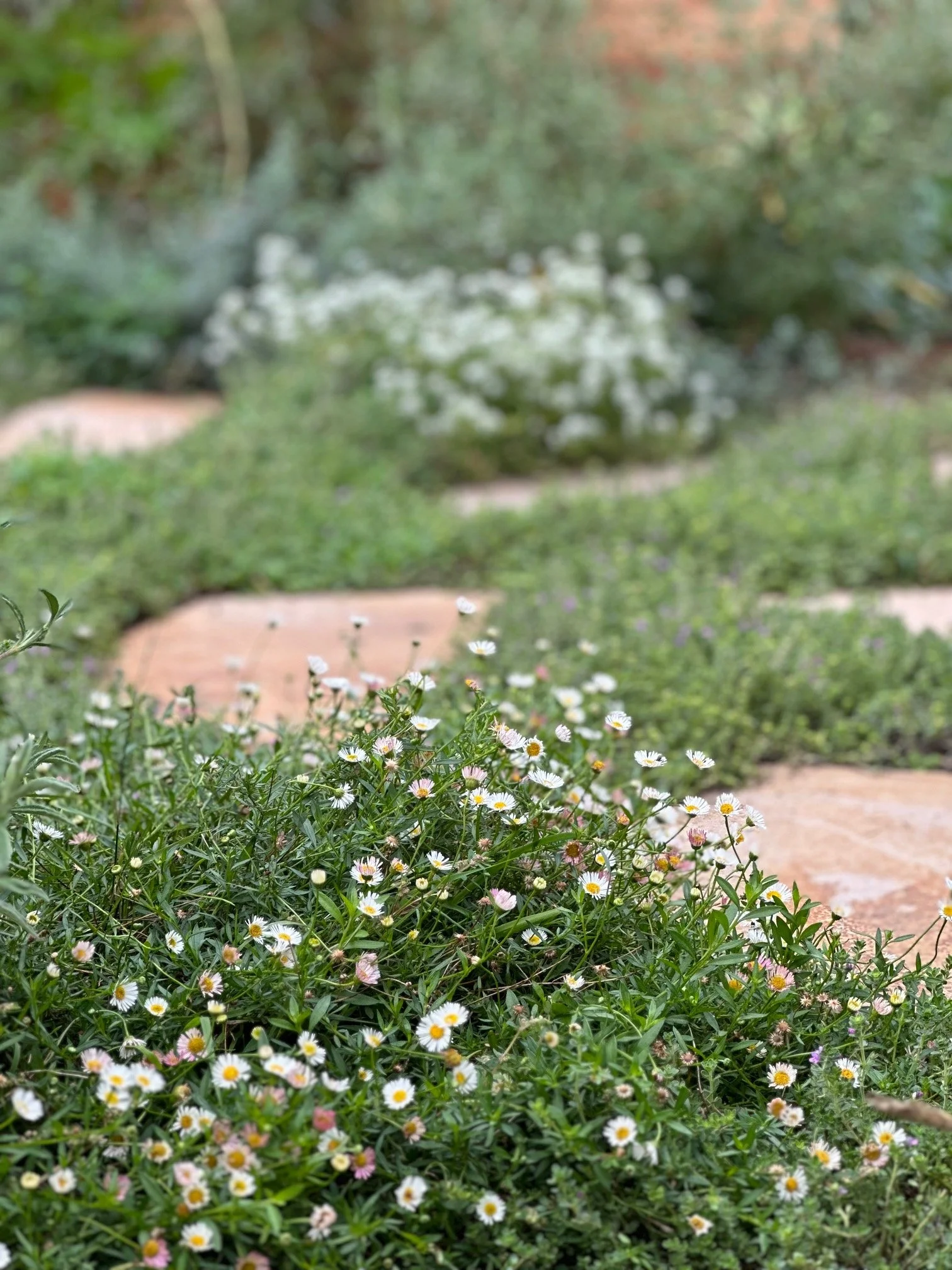 West Mendocino Street Residence